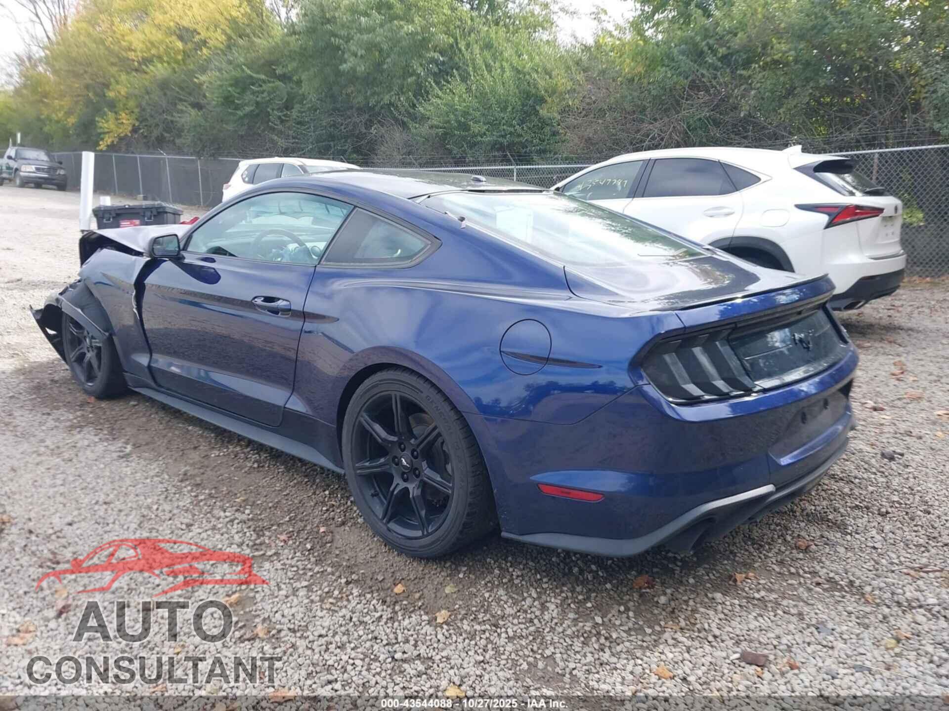 FORD MUSTANG 2019 - 1FA6P8TH3K5167776