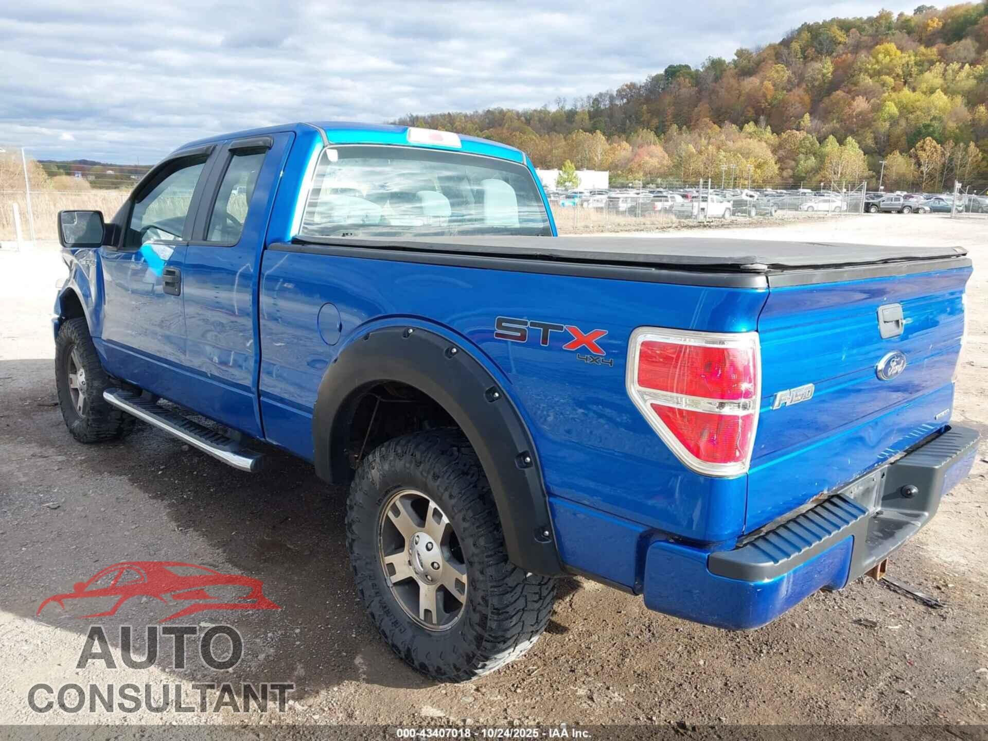 FORD F-150 2013 - 1FTFX1EF2DFD70202