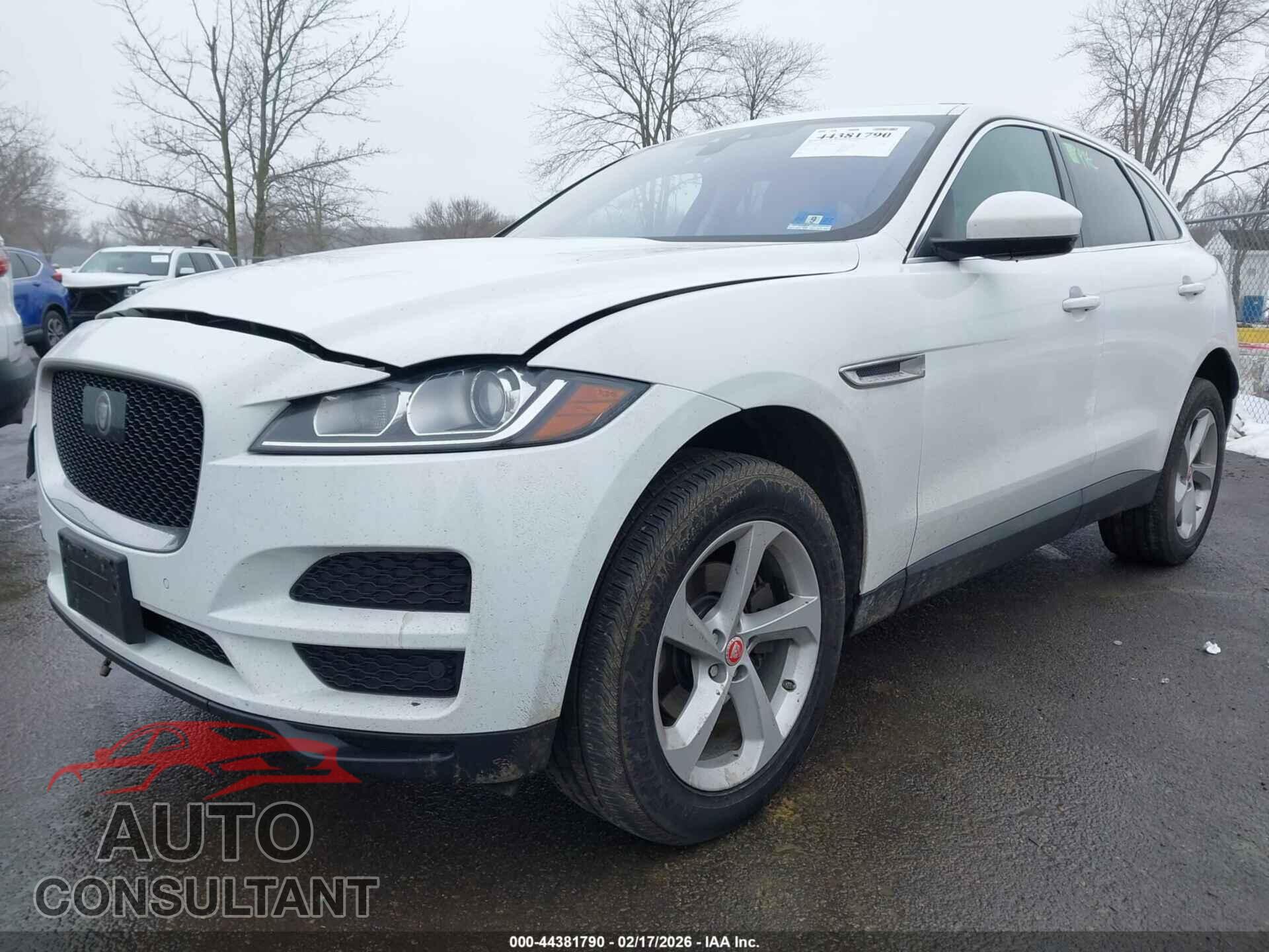 JAGUAR F-PACE 2019 - SADCJ2FXXKA356449