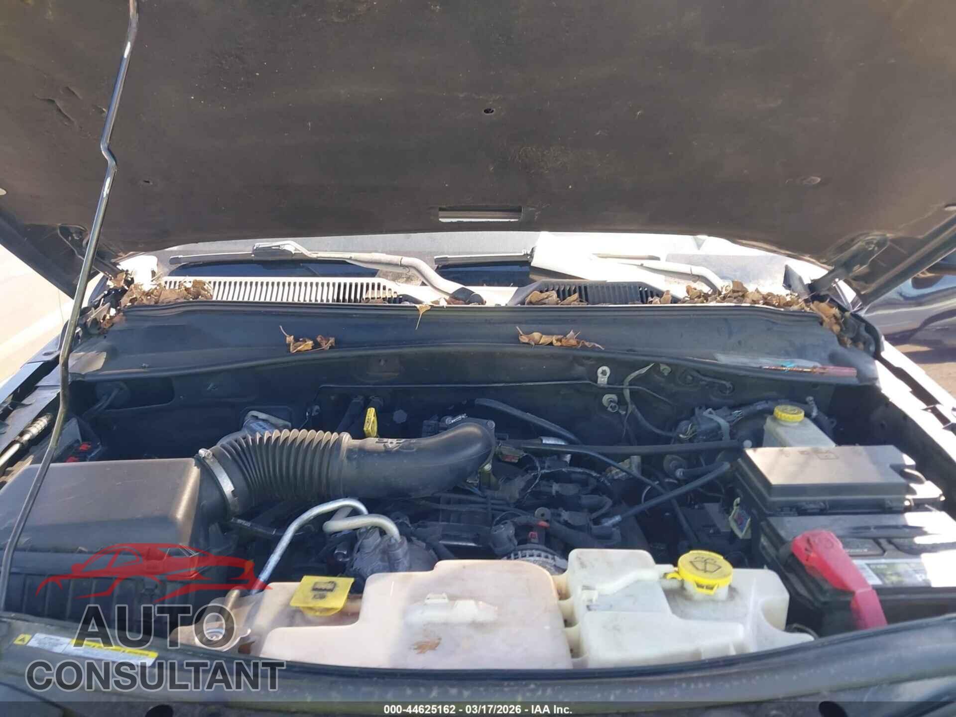 DODGE NITRO 2011 - 1D4PT4GK6BW567997