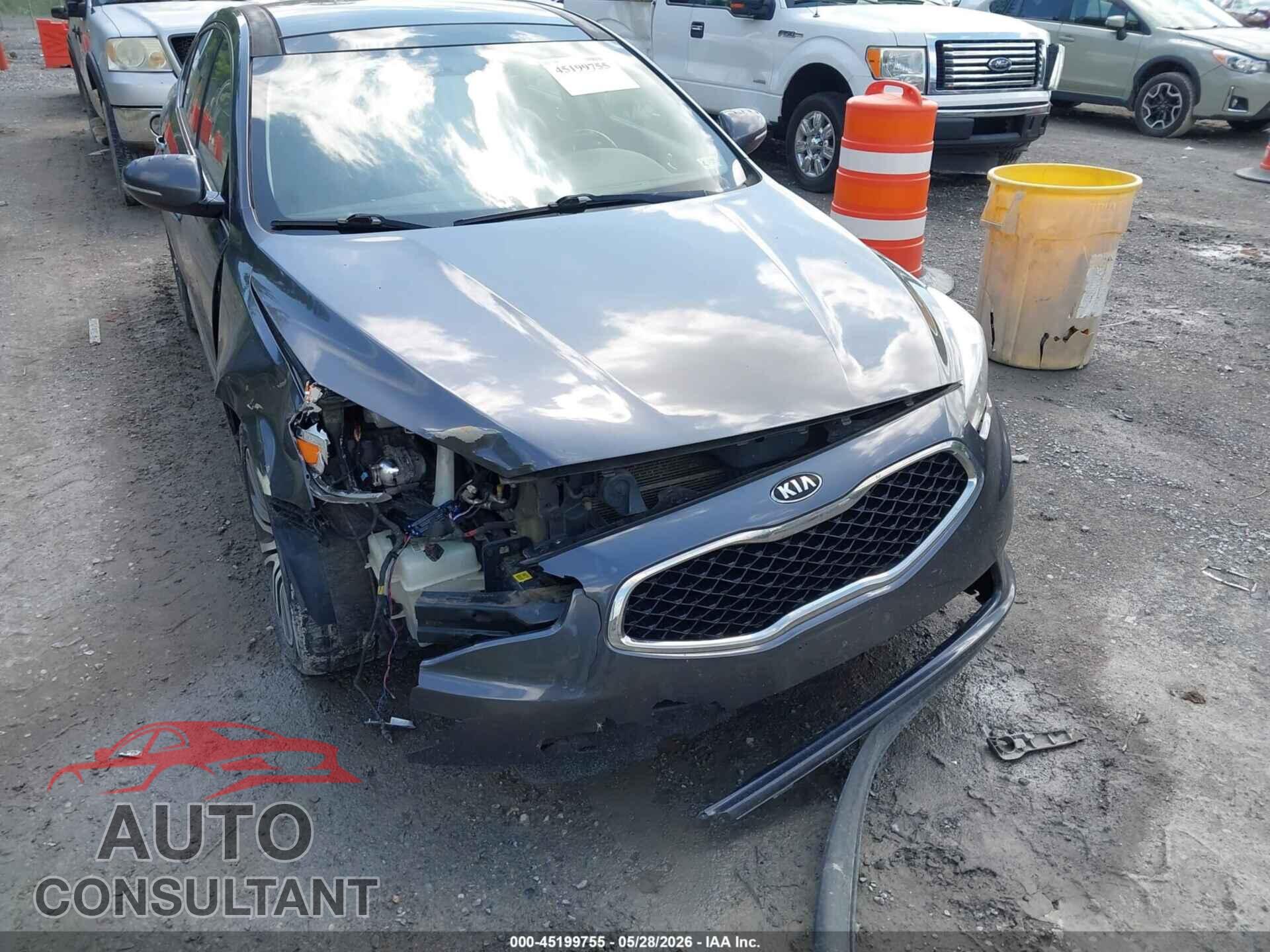 KIA CADENZA 2014 - KNALN4D79E5152931