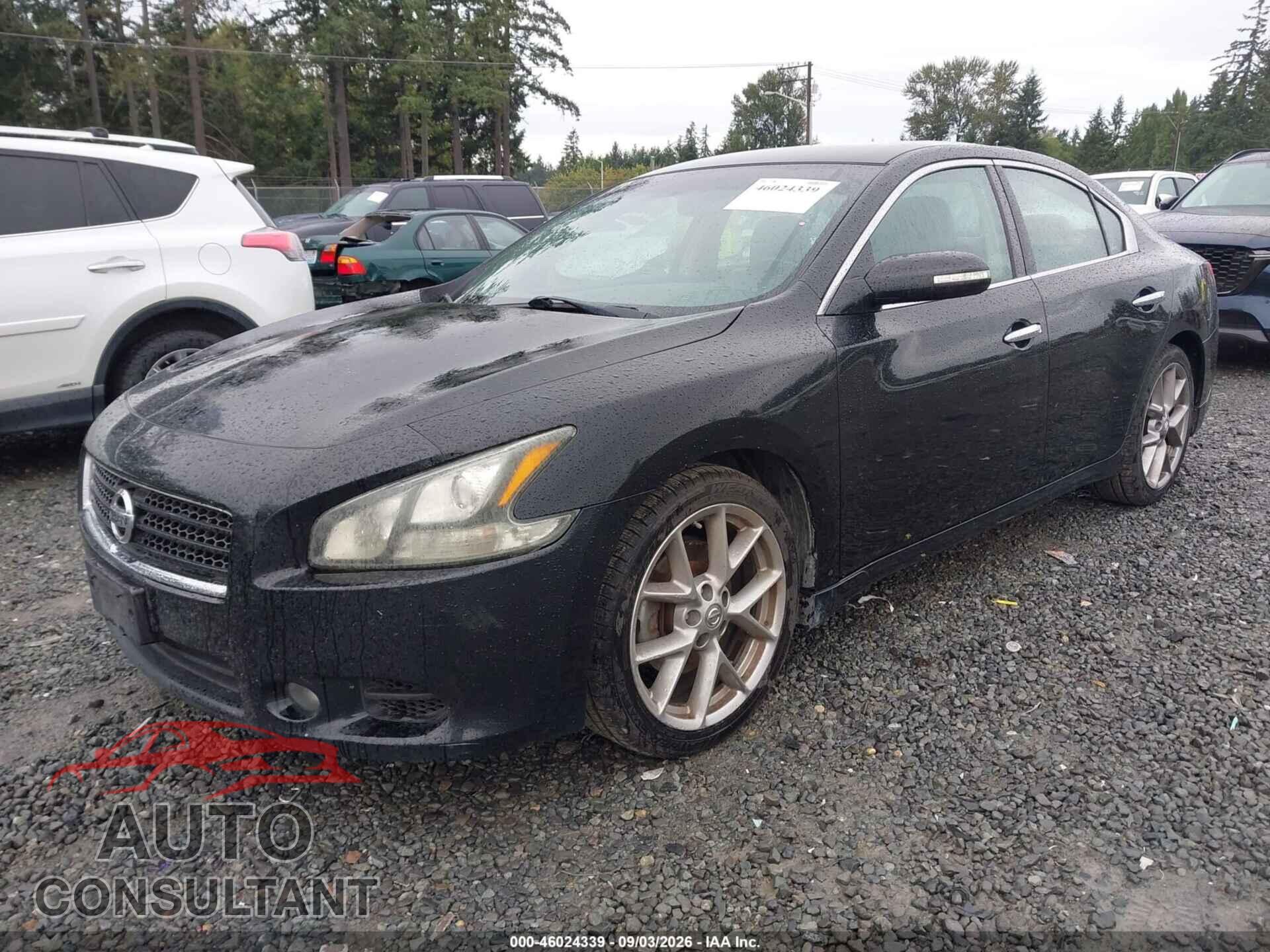 NISSAN MAXIMA 2011 - 1N4AA5AP5BC849686