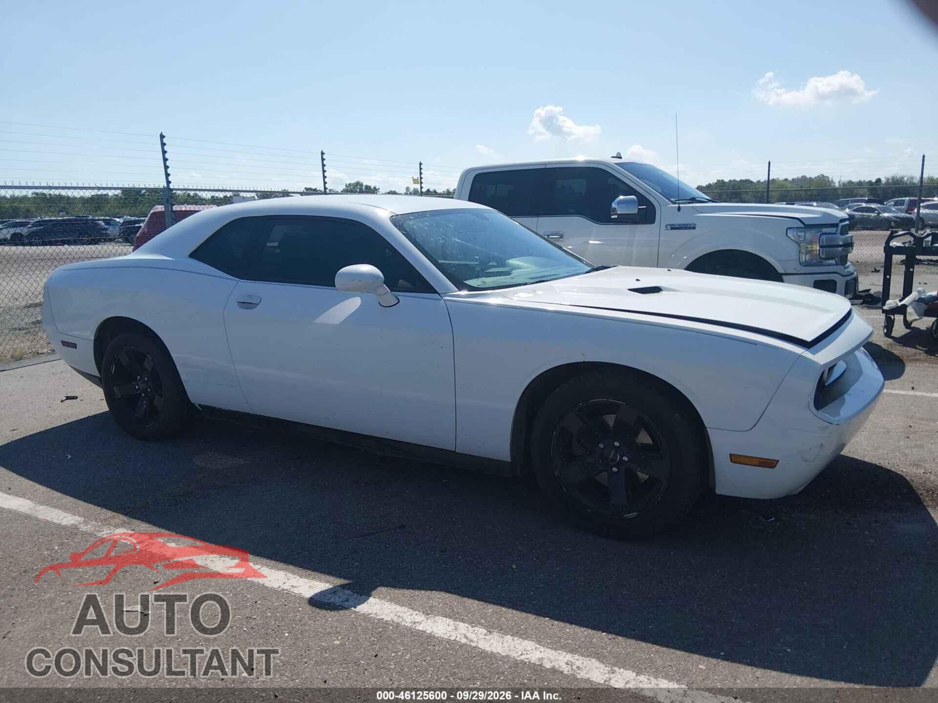 DODGE CHALLENGER 2013 - 2C3CDYAG7DH569512
