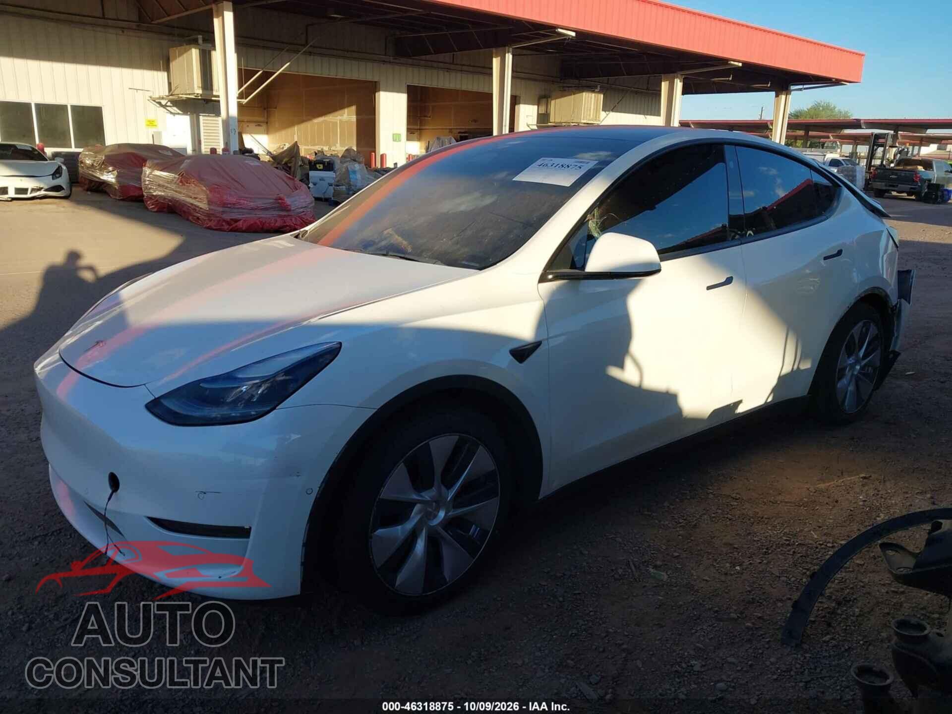 TESLA MODEL Y 2022 - 7SAYGDEF4NF347314