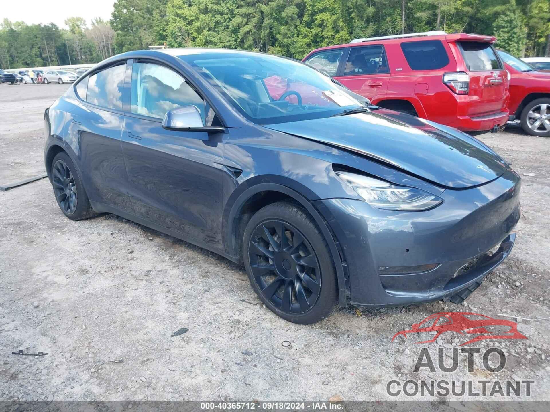 TESLA MODEL Y 2022 - 7SAYGDEE8NF321855