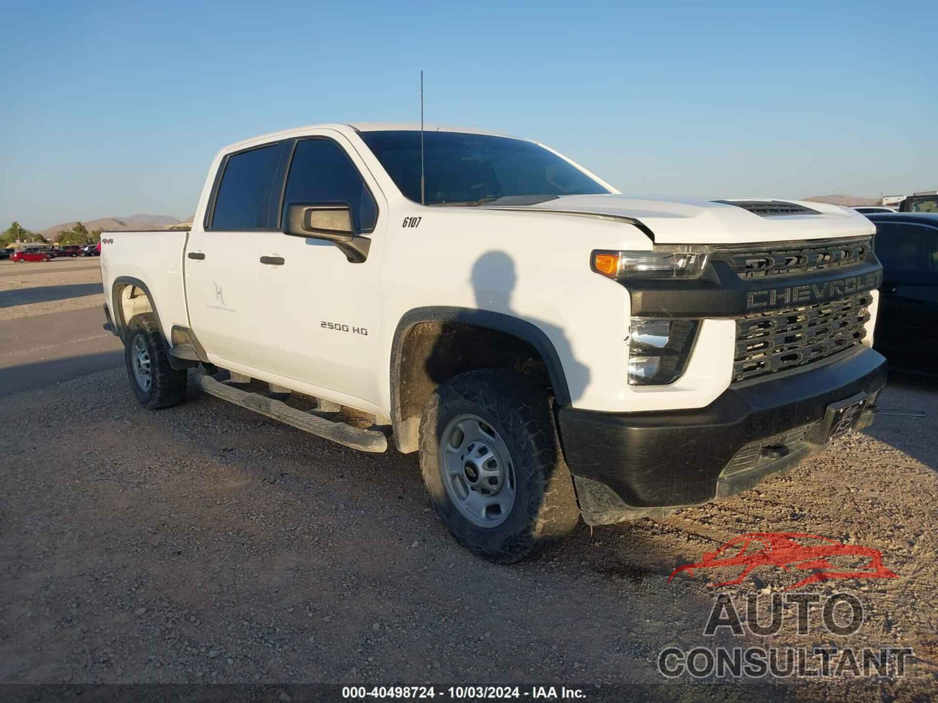 CHEVROLET SILVERADO 2020 - 1GC1YLE70LF196107