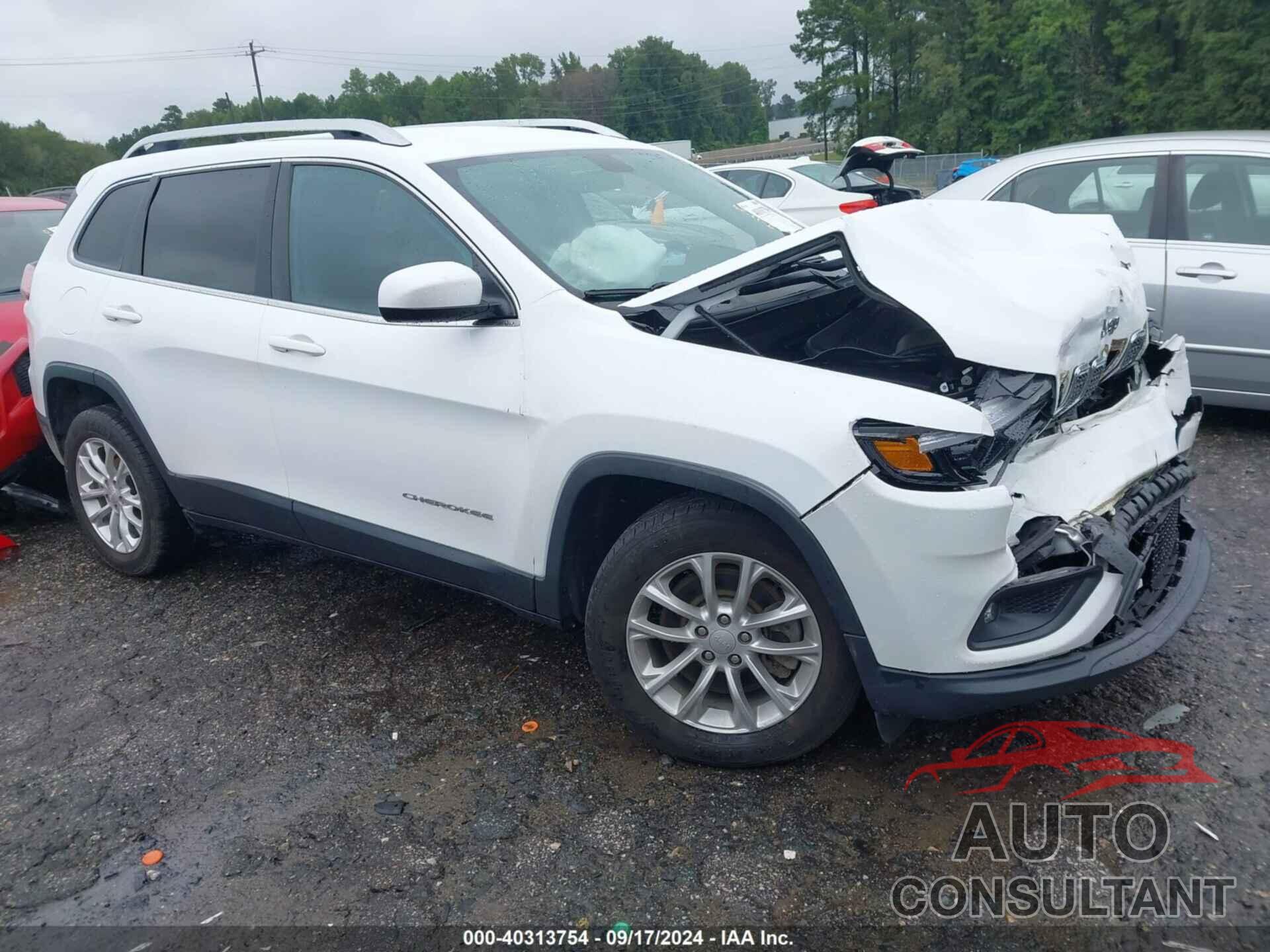 JEEP CHEROKEE 2019 - 1C4PJLCB8KD248535