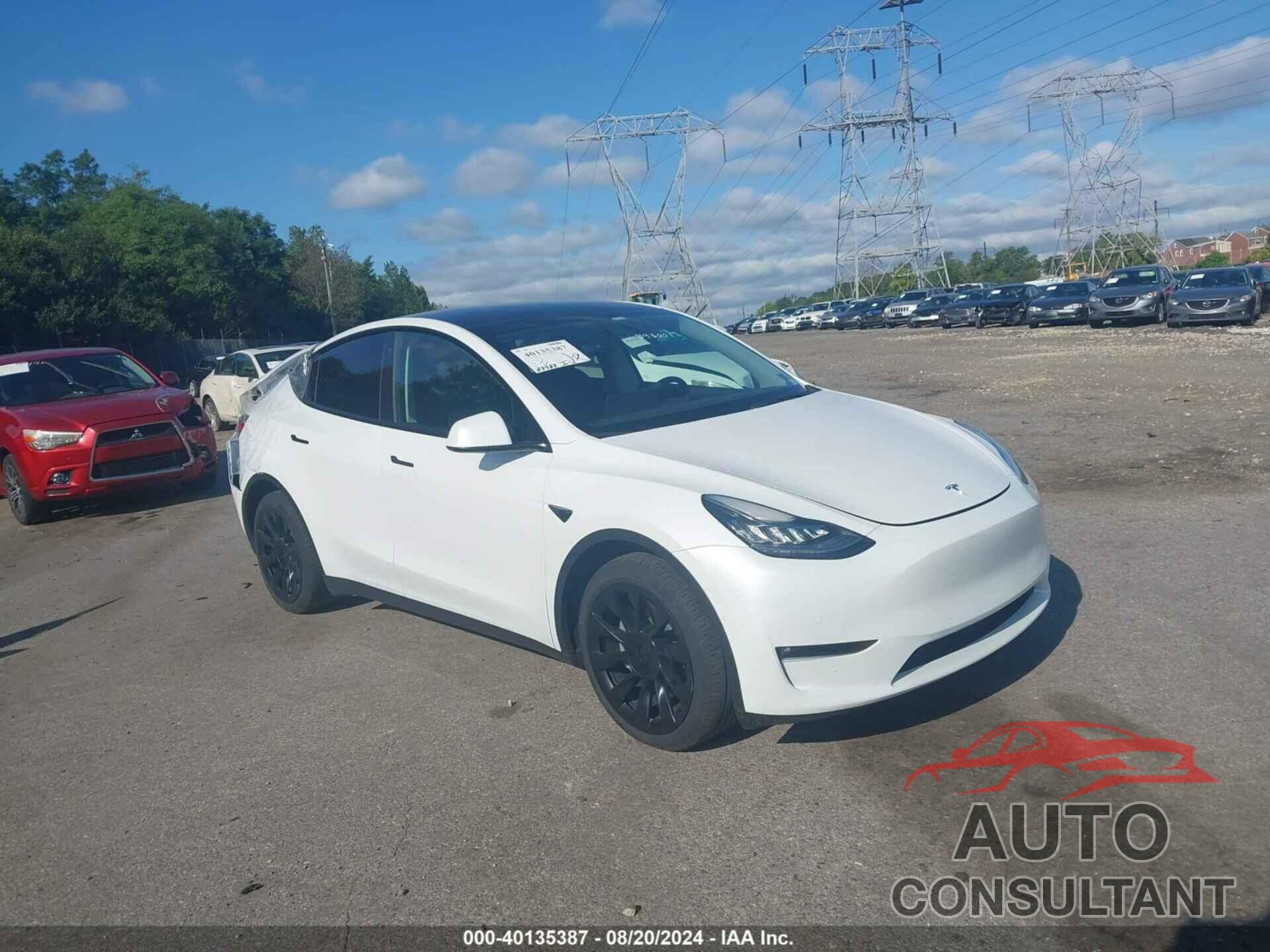 TESLA MODEL Y 2022 - 7SAYGAEE7NF393001