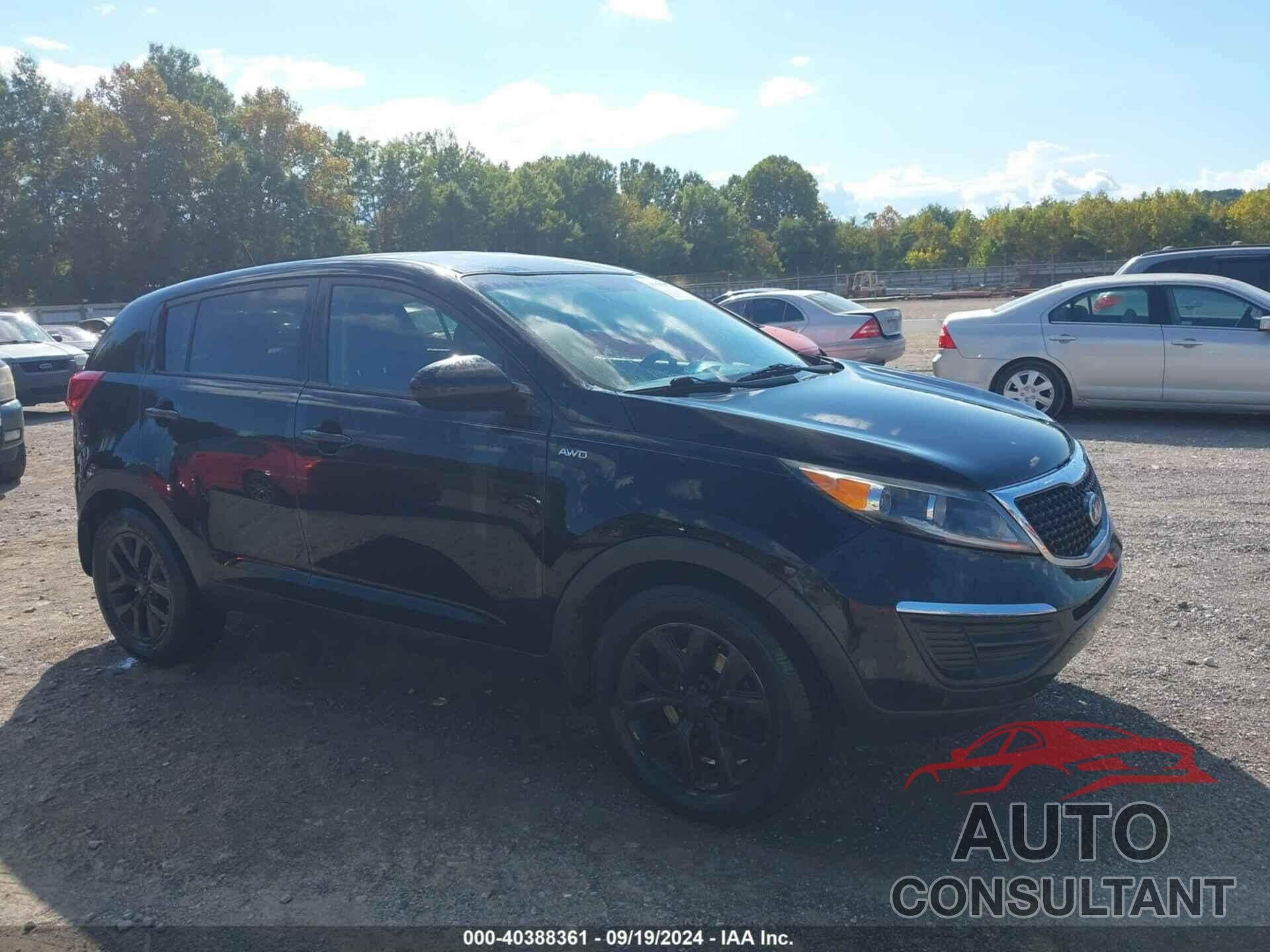 KIA SPORTAGE 2016 - KNDPBCAC4G7803236