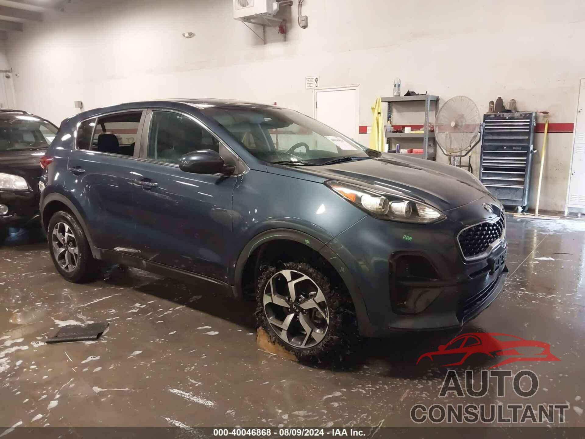 KIA SPORTAGE 2022 - KNDPM3AC2N7003641