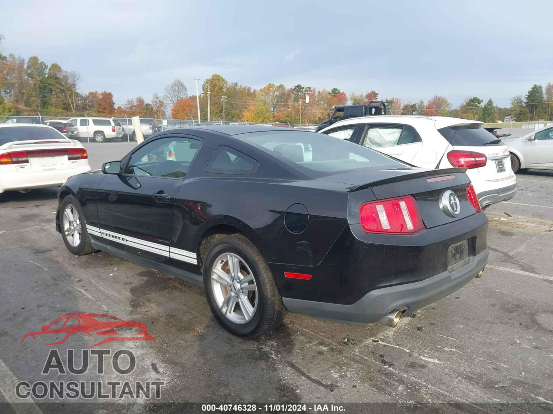 FORD MUSTANG 2011 - 1ZVBP8AM1B5149007