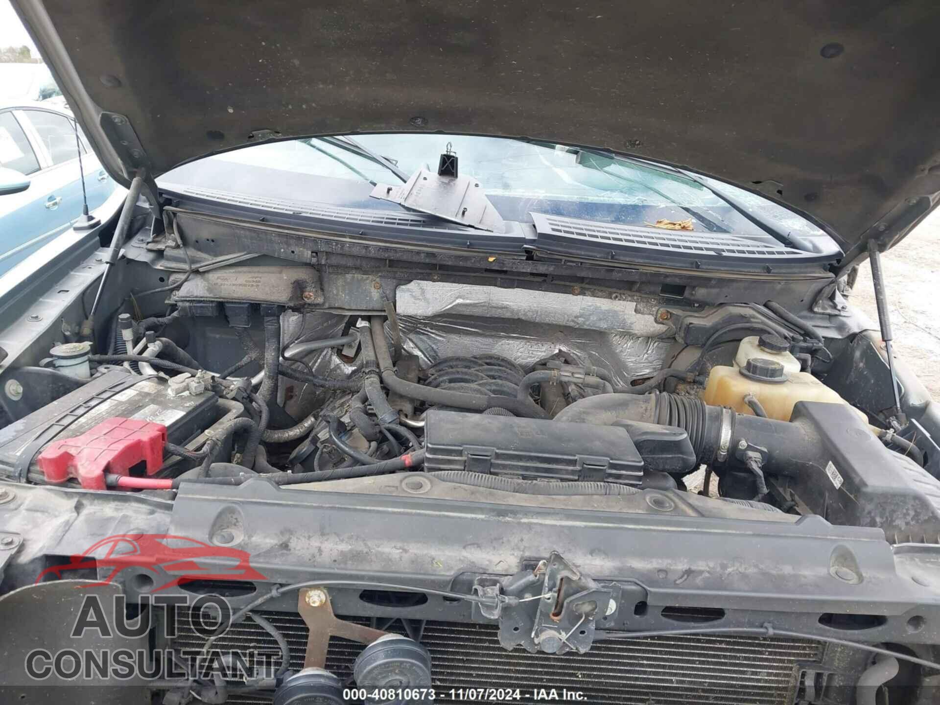 FORD F-150 2012 - 1FTFX1EF4CFA83667