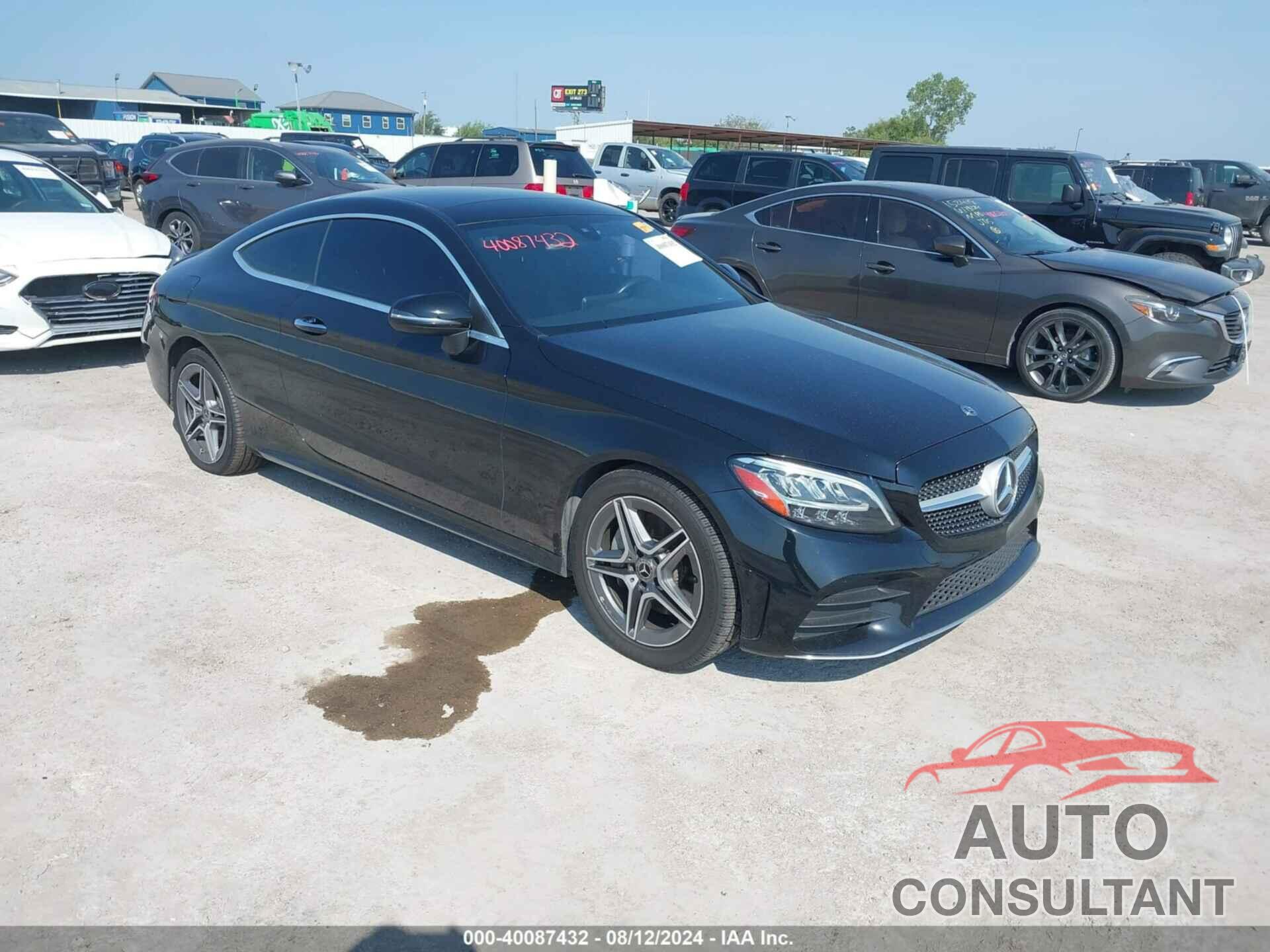 MERCEDES-BENZ C 300 2019 - WDDWJ8EB9KF777086