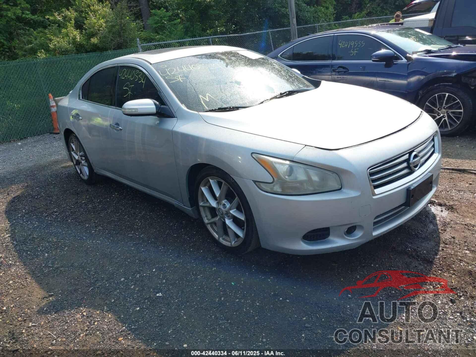 NISSAN MAXIMA 2009 - 1N4AA51E19C828245