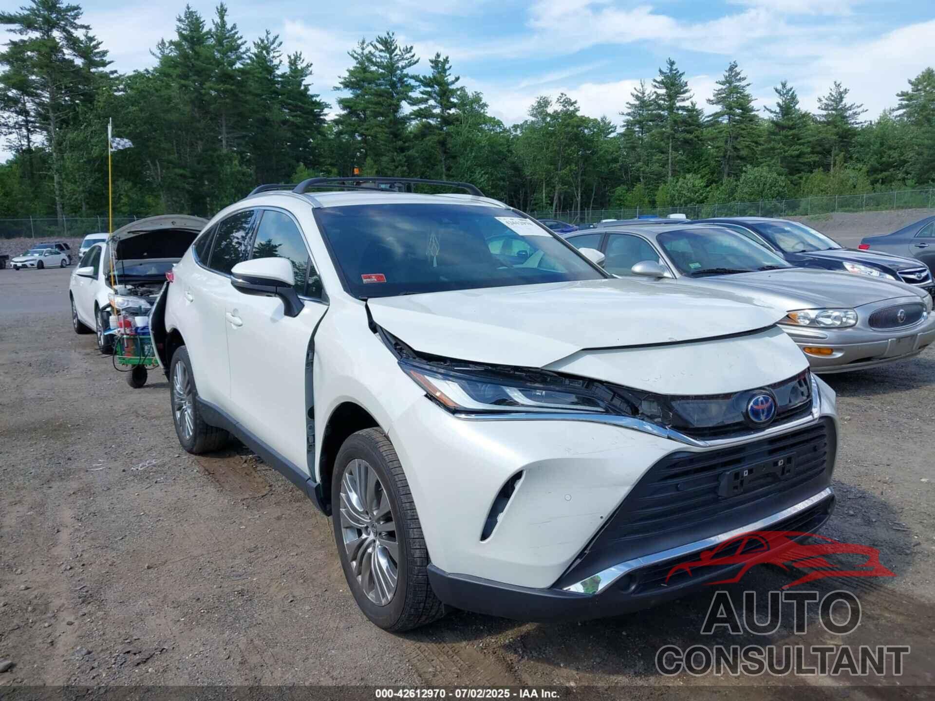 TOYOTA VENZA 2022 - JTEAAAAH5NJ100491
