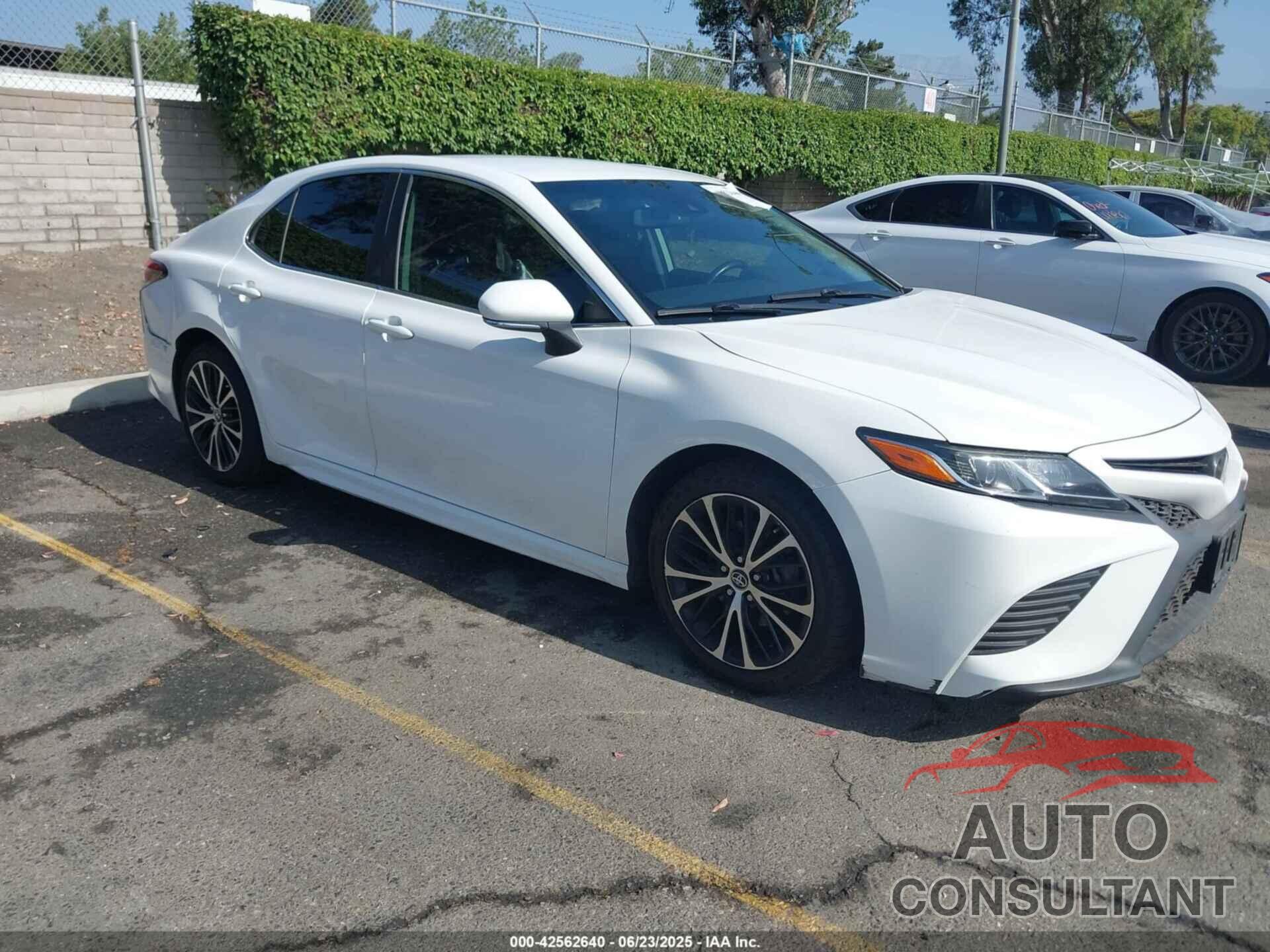TOYOTA CAMRY 2019 - 4T1B11HK6KU172140