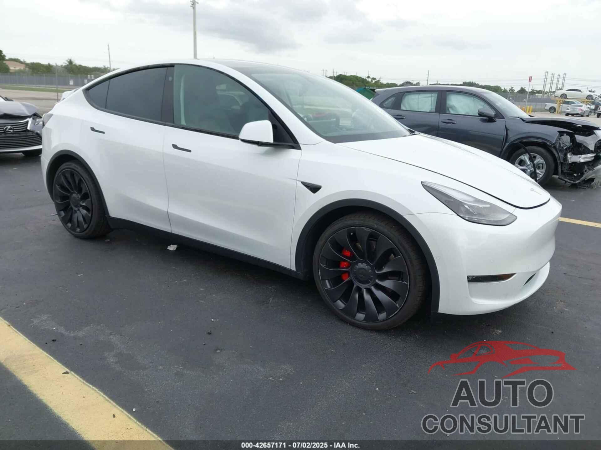 TESLA MODEL Y 2022 - 7SAYGDEF6NF377088
