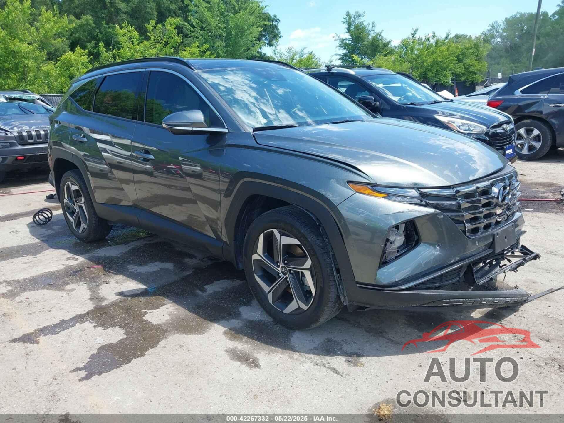 HYUNDAI TUCSON 2023 - 5NMJECAE9PH225030