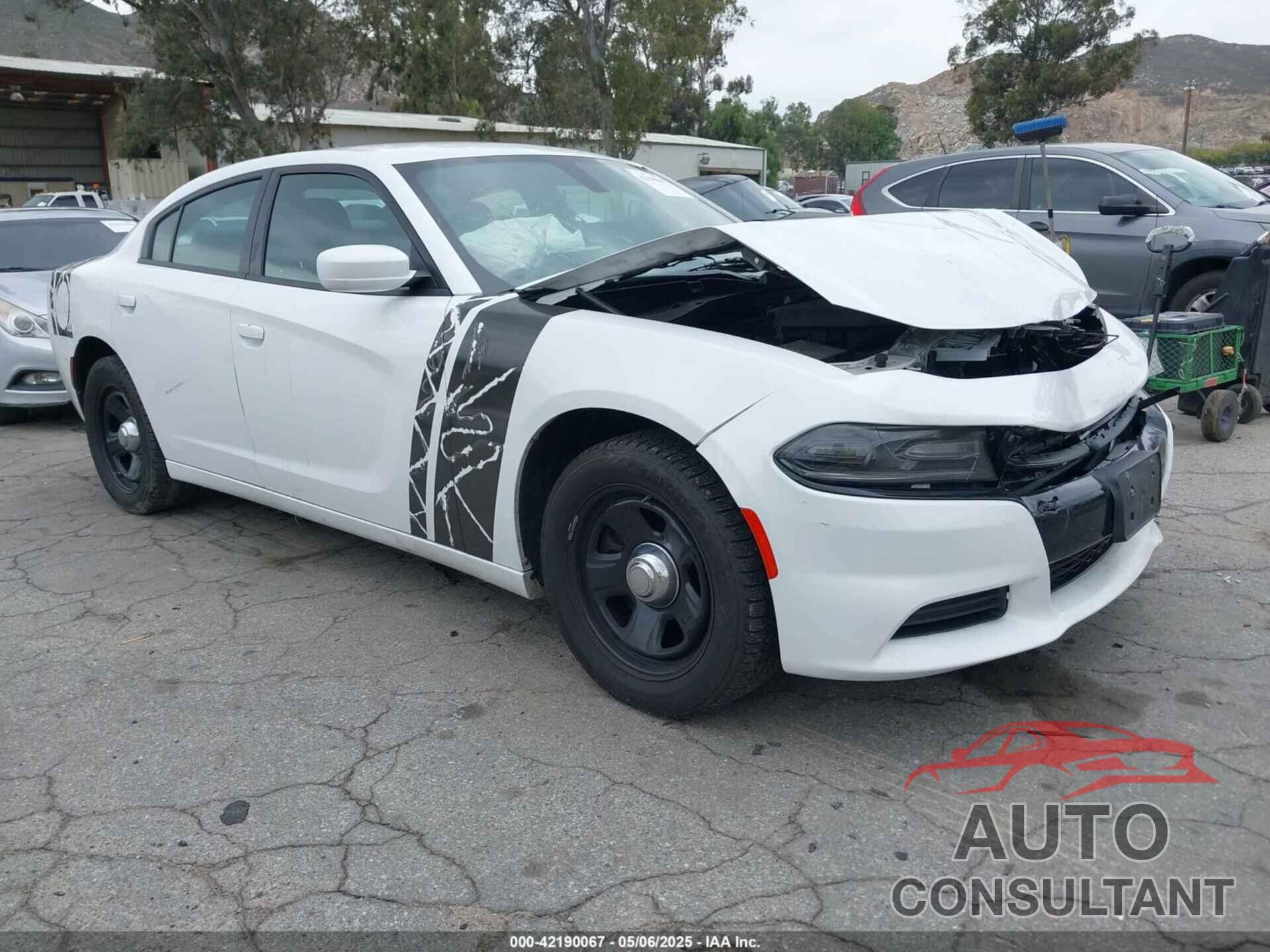 DODGE CHARGER 2019 - 2C3CDXAG2KH748418