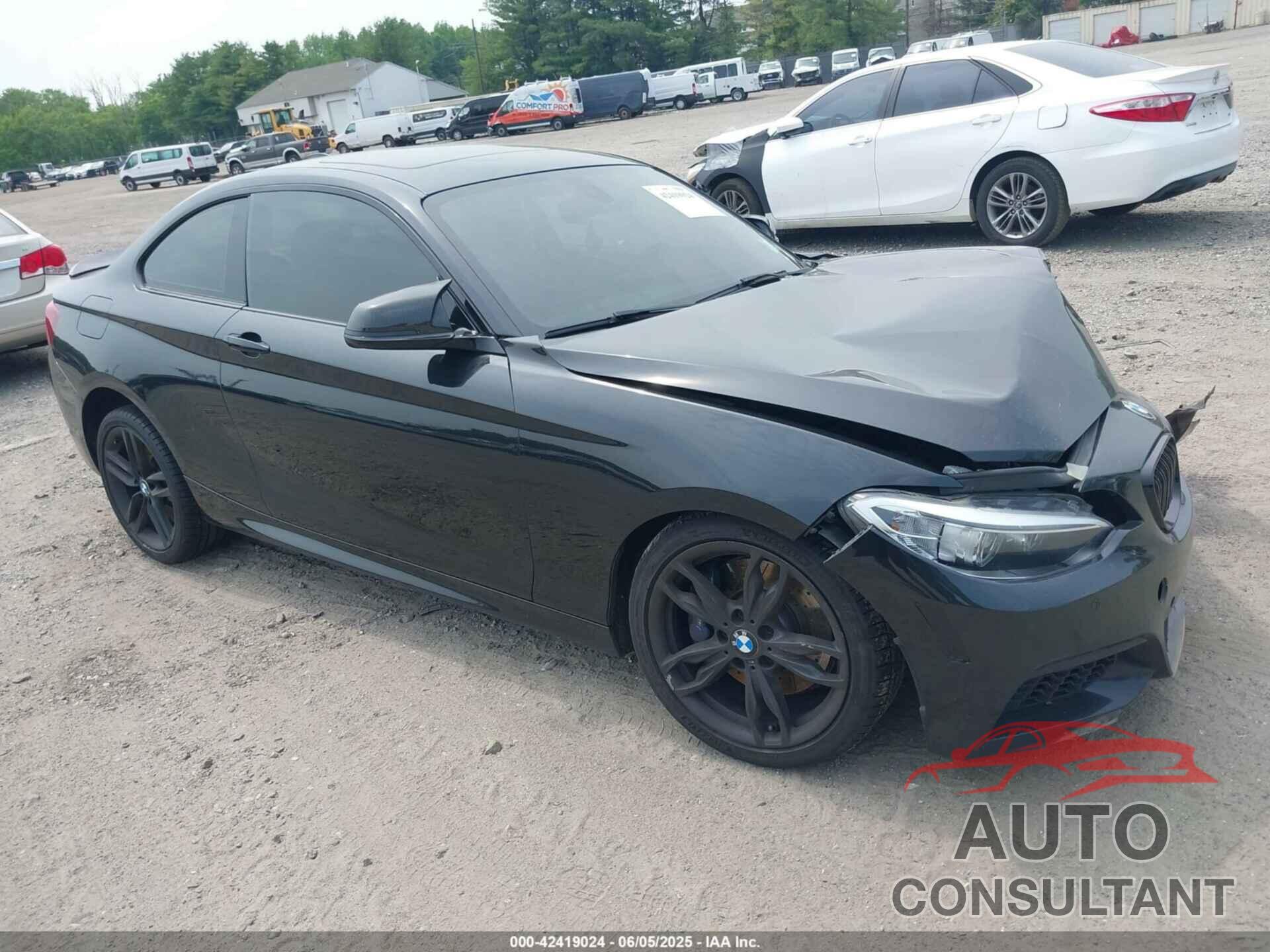 BMW 228I 2016 - WBA1G9C52GV598985