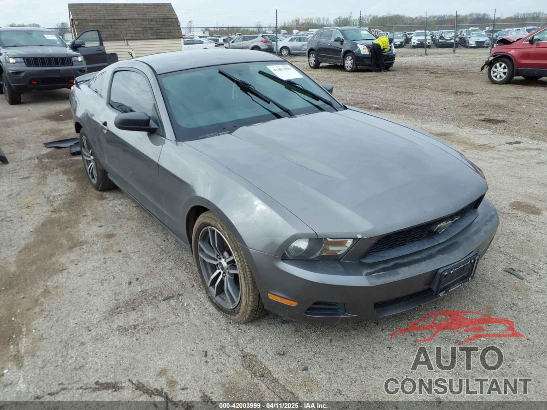 FORD MUSTANG 2011 - 1ZVBP8AMXB5151595