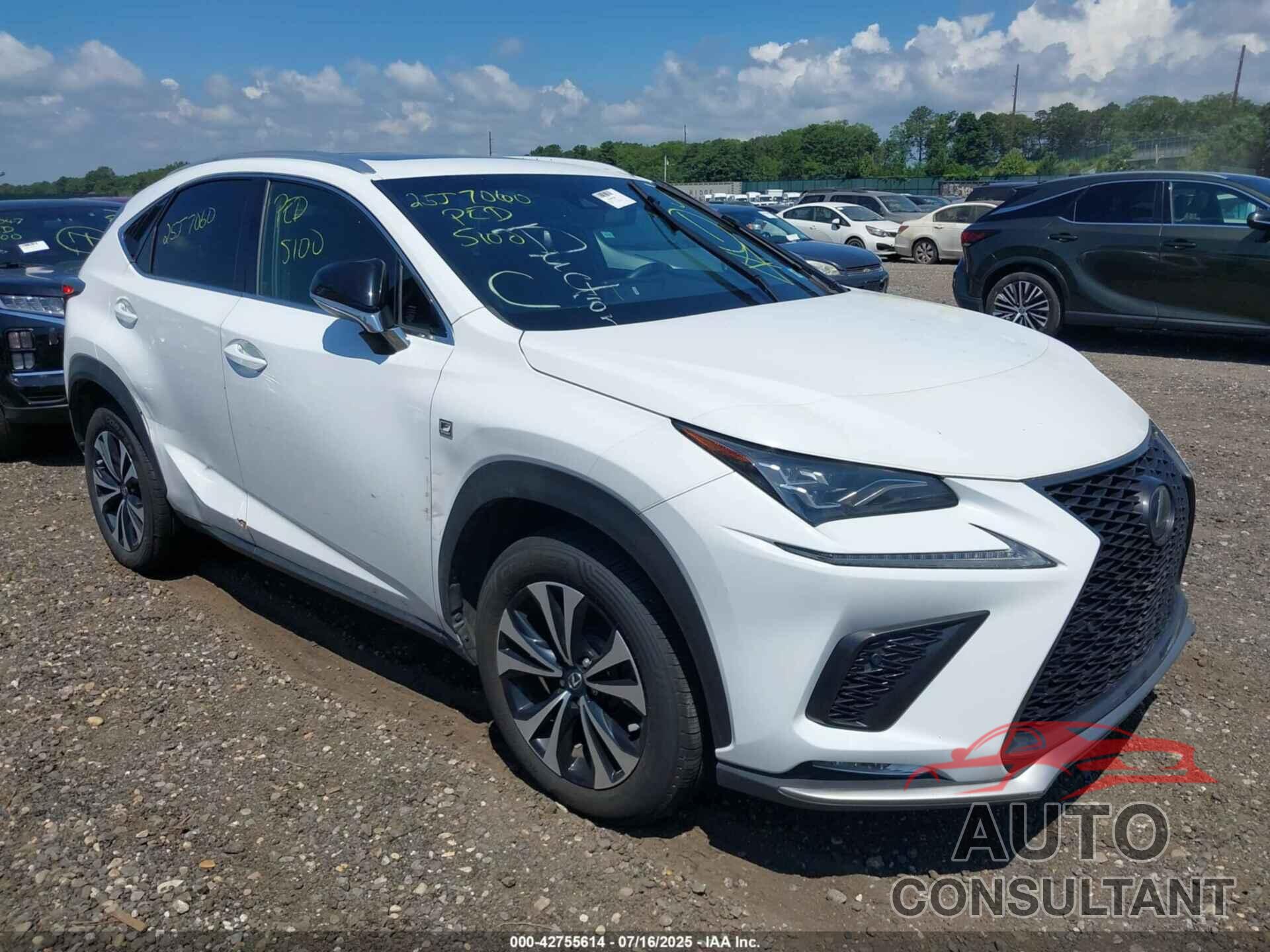 LEXUS NX 300 2019 - JTJBARBZ9K2205665