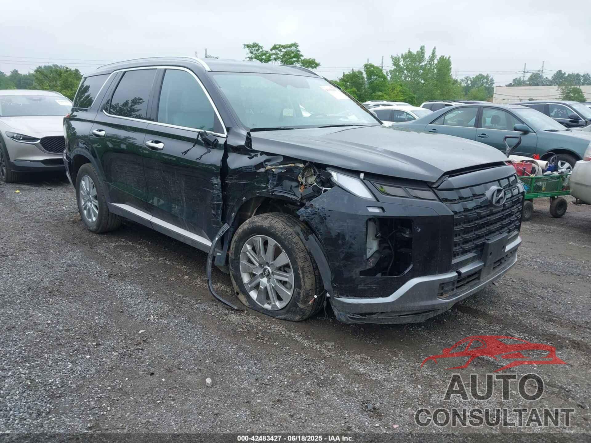 HYUNDAI PALISADE 2024 - KM8R2DGE2RU801329
