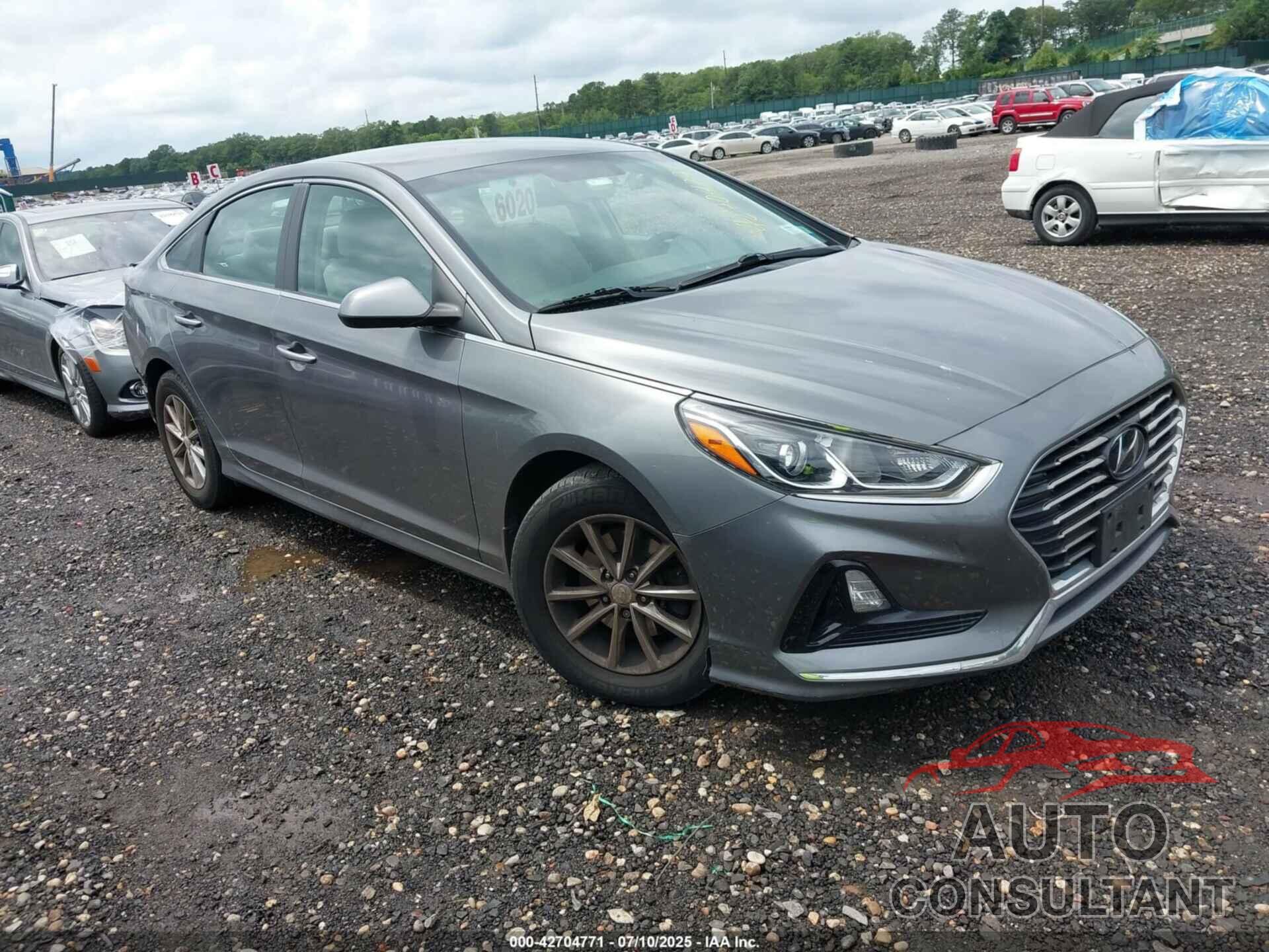 HYUNDAI SONATA 2019 - 5NPE24AF7KH807051