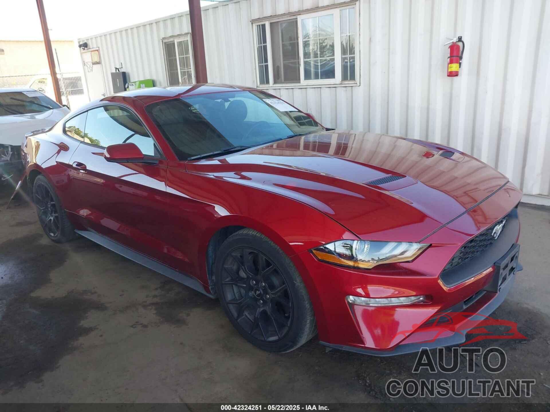 FORD MUSTANG 2019 - 1FA6P8TH6K5186130