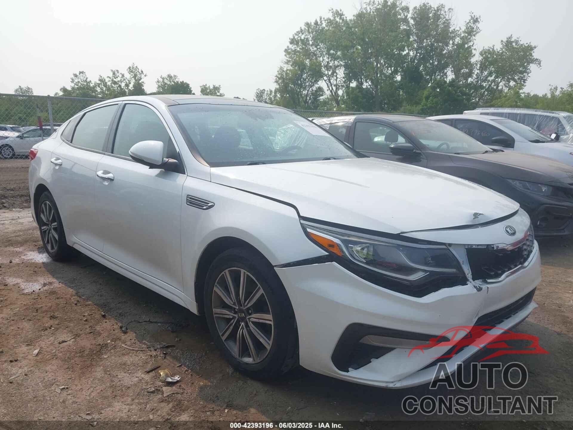 KIA OPTIMA 2019 - 5XXGT4L32KG294411