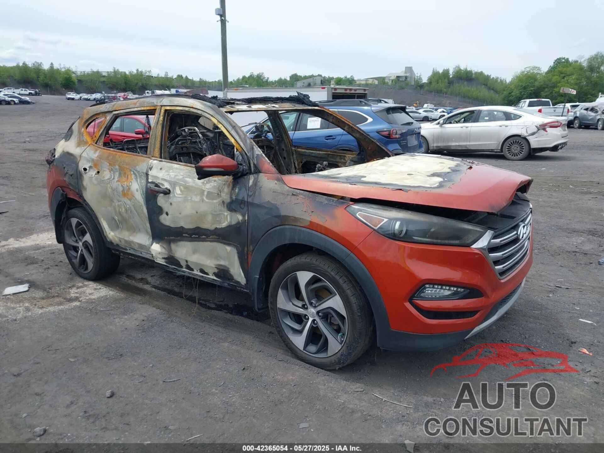 HYUNDAI TUCSON 2017 - KM8J3CA2XHU306510