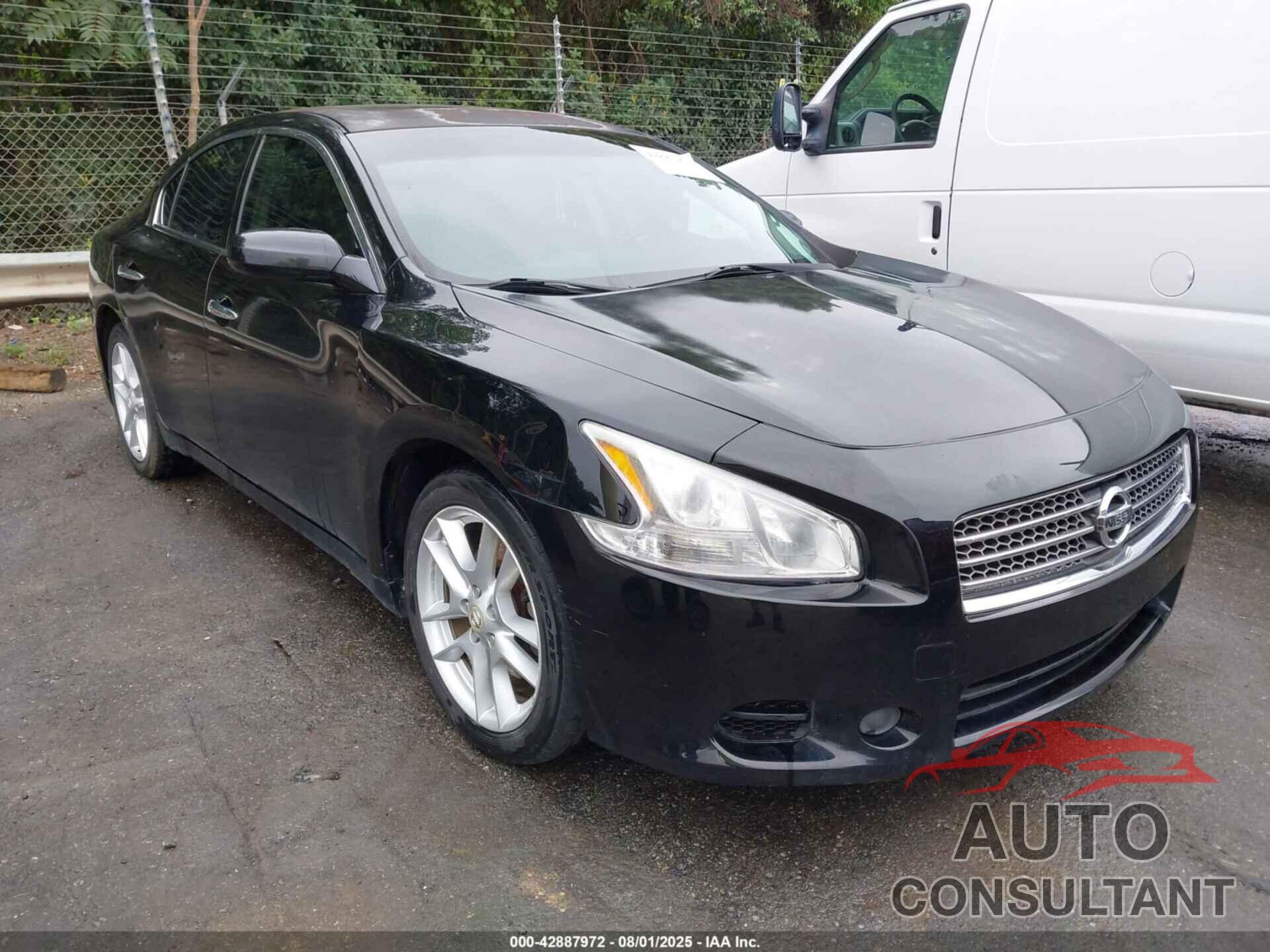 NISSAN MAXIMA 2009 - 1N4AA51E19C801837