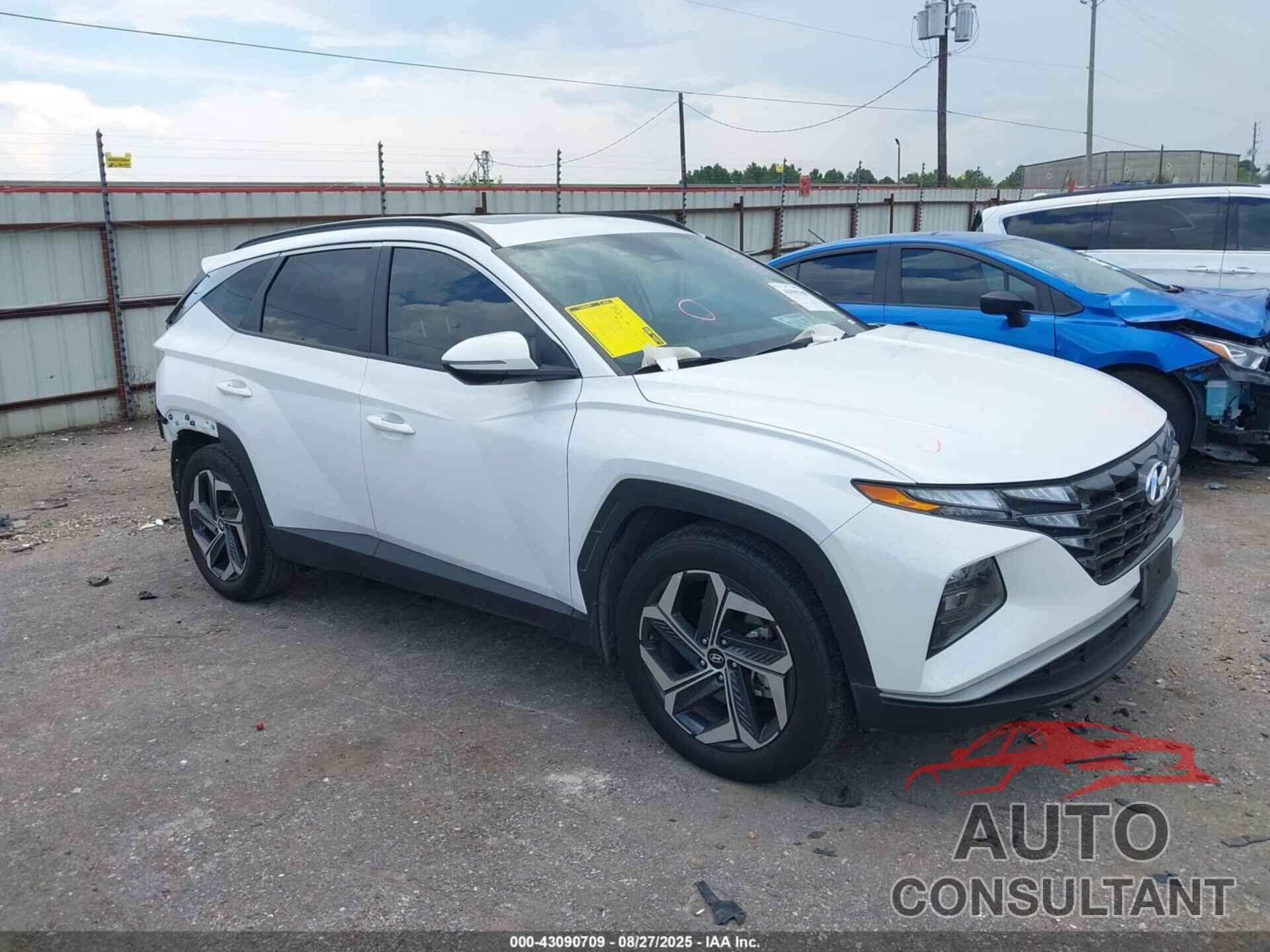 HYUNDAI TUCSON 2023 - 5NMJF3AEXPH235594