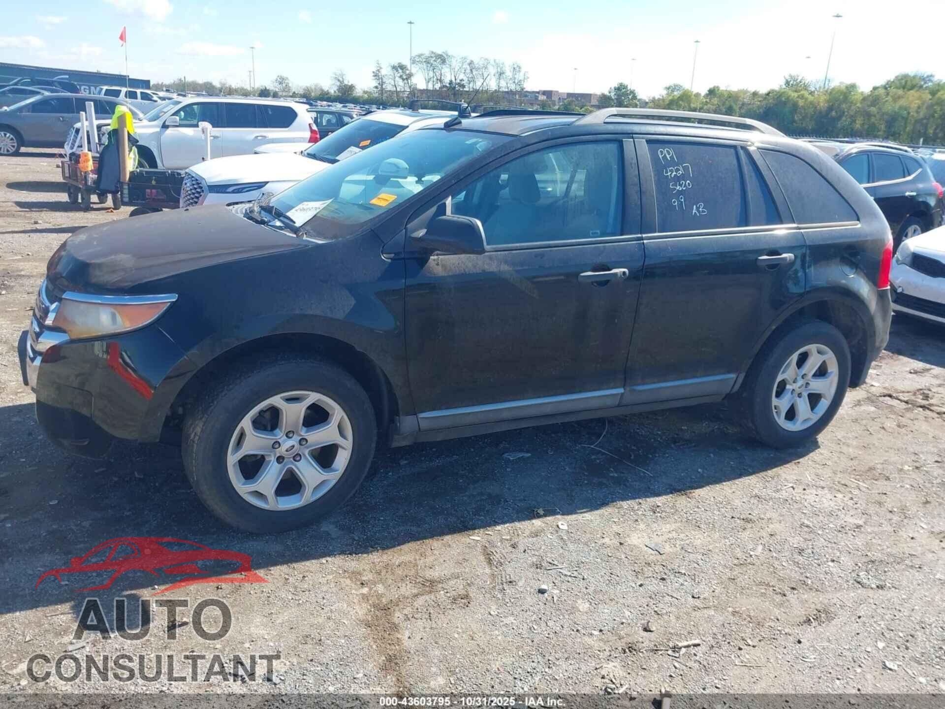 FORD EDGE 2011 - 2FMDK4GC2BBB55620