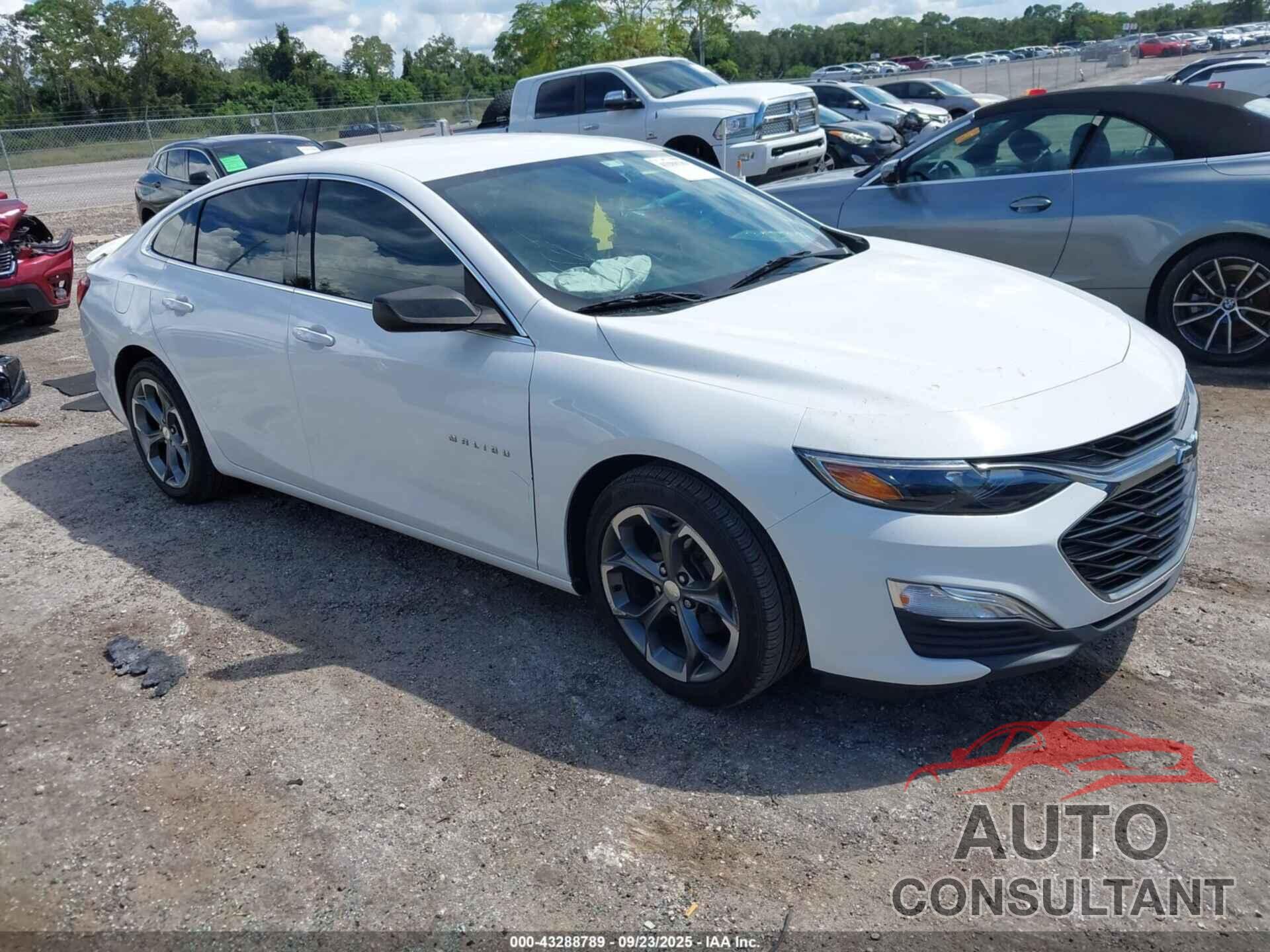 CHEVROLET MALIBU 2019 - 1G1ZG5ST6KF227483
