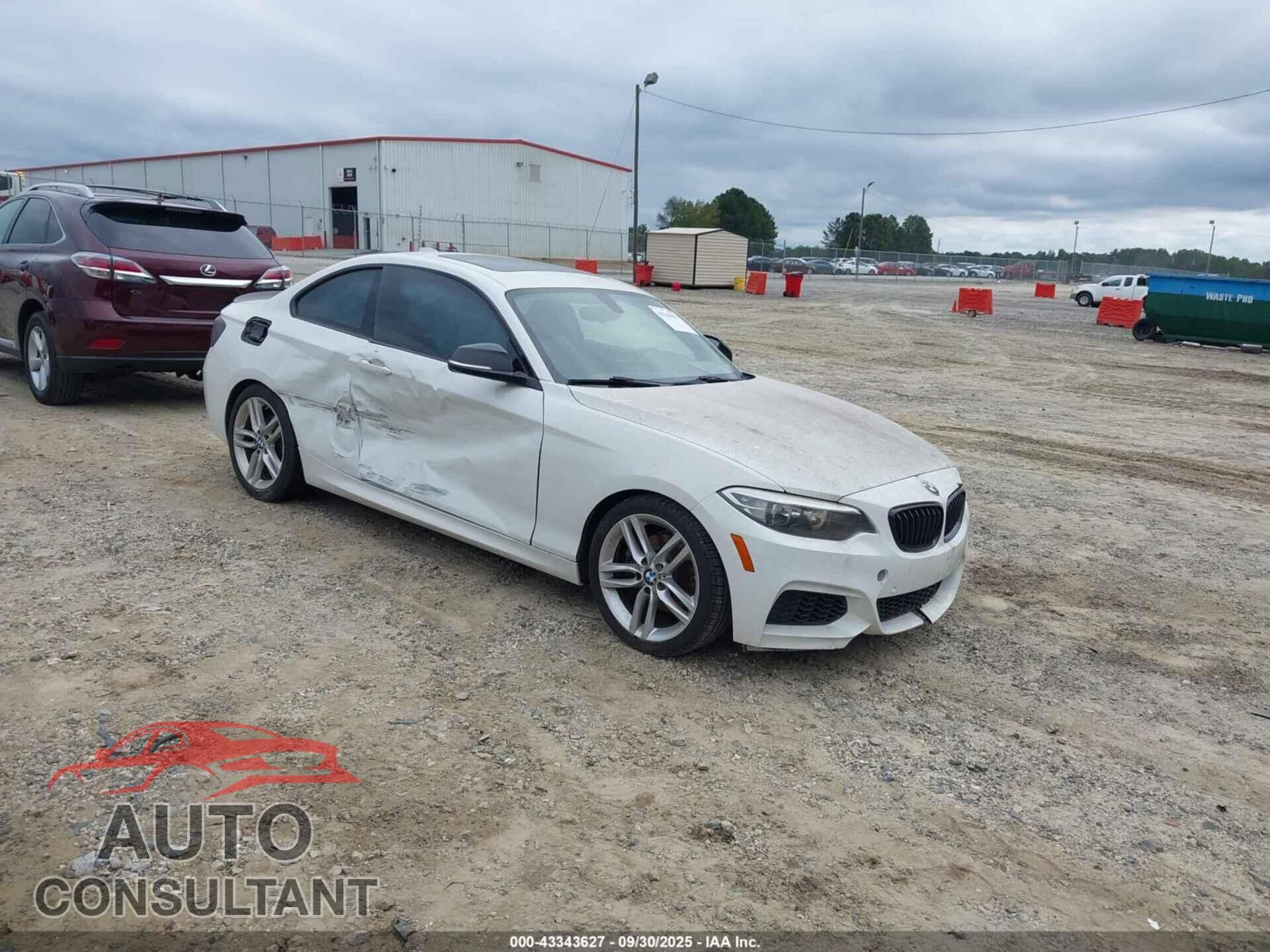 BMW 228I 2016 - WBA1F9C51GV545097