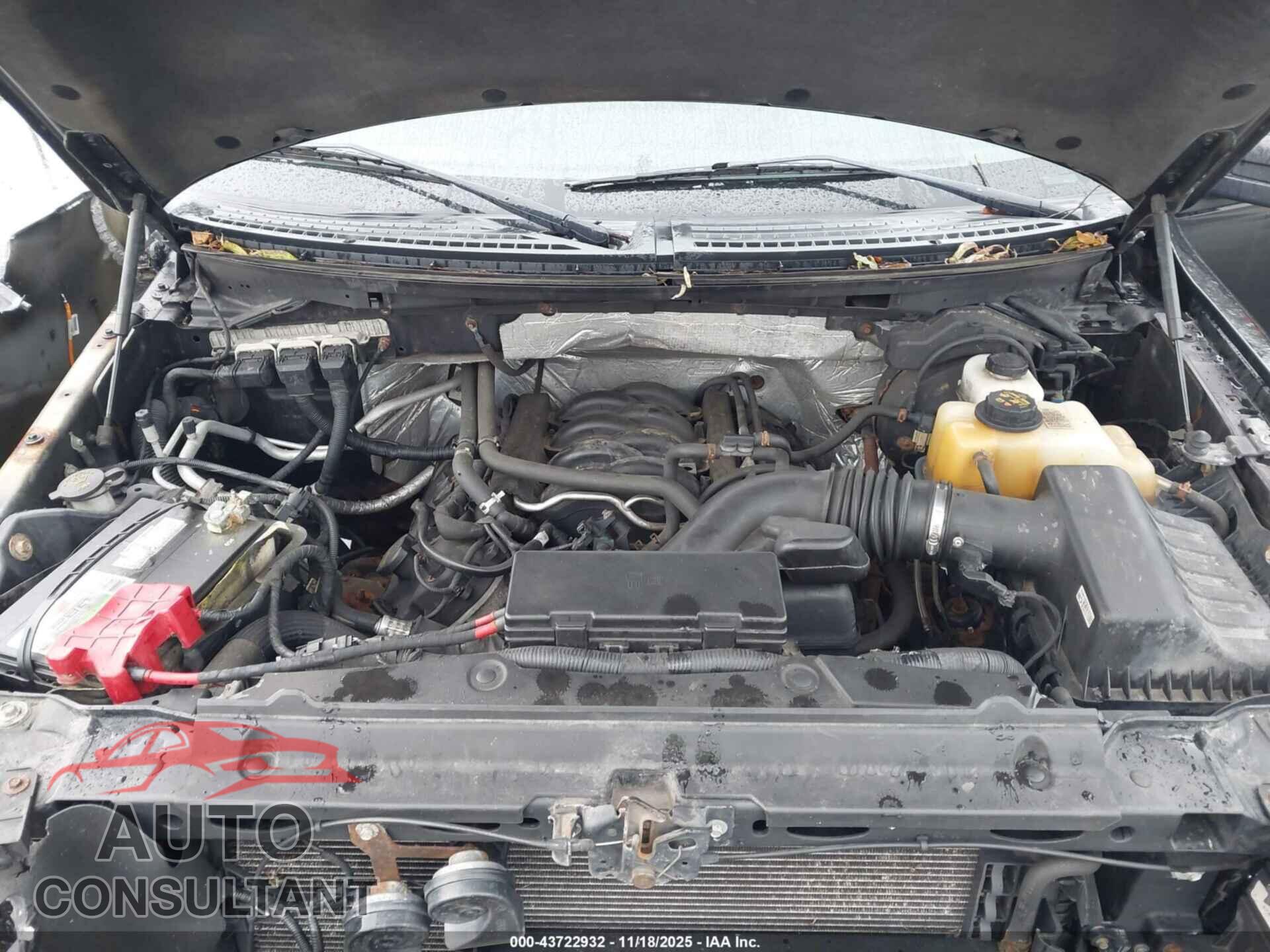 FORD F-150 2013 - 1FTFW1EF5DFD39061