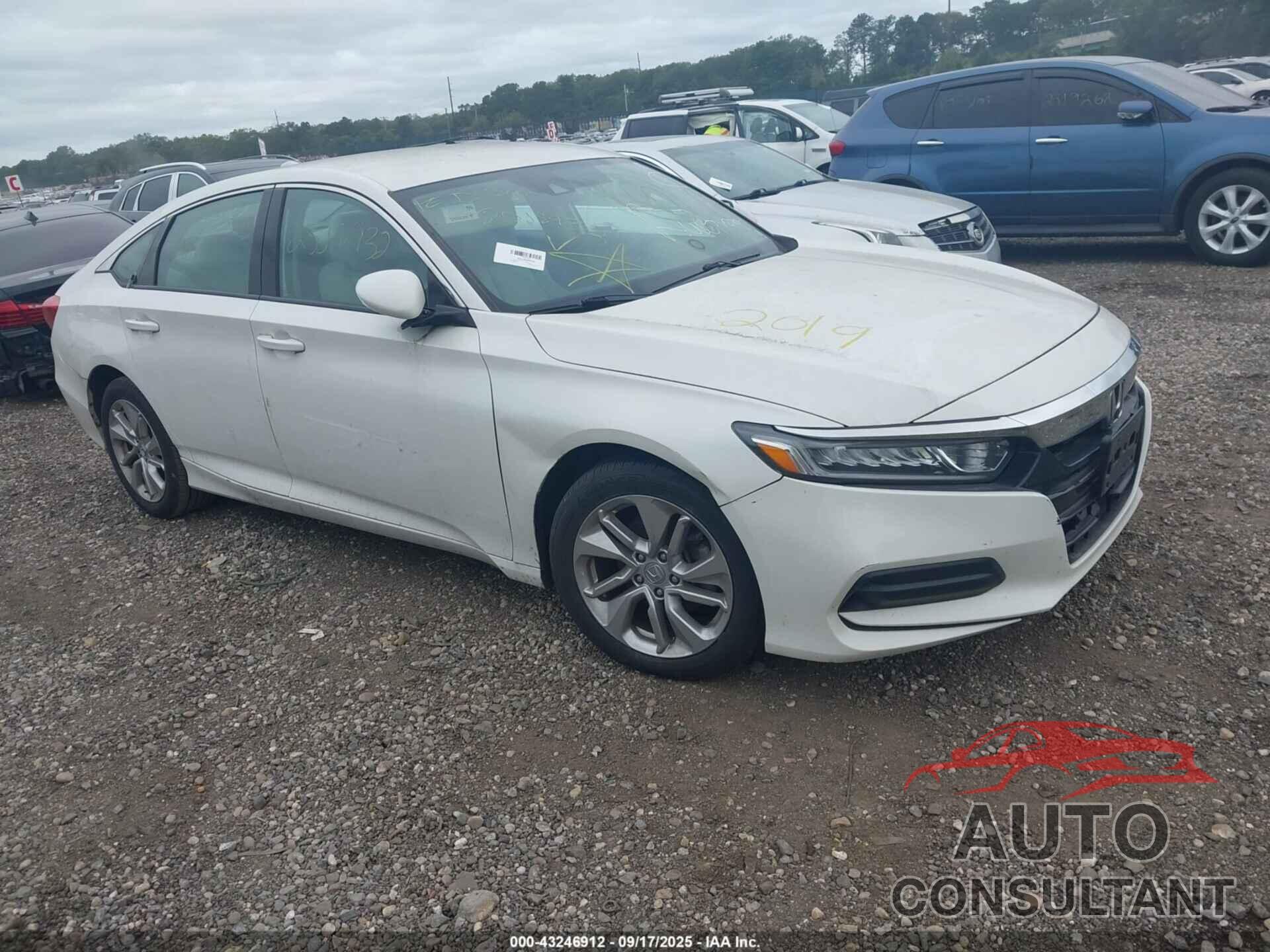 HONDA ACCORD 2019 - 1HGCV1F10KA102854