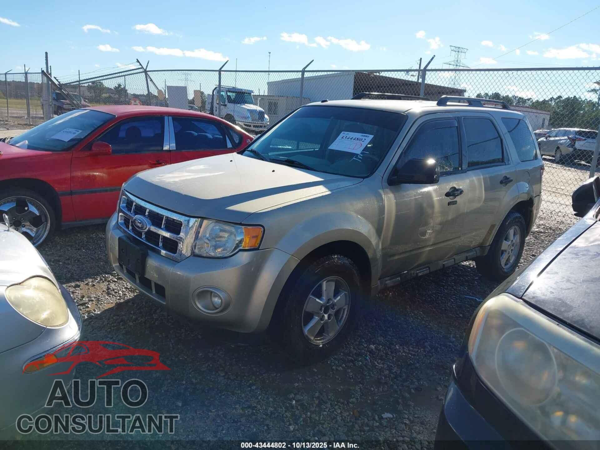 FORD ESCAPE 2010 - 1FMCU9D79AKB29191