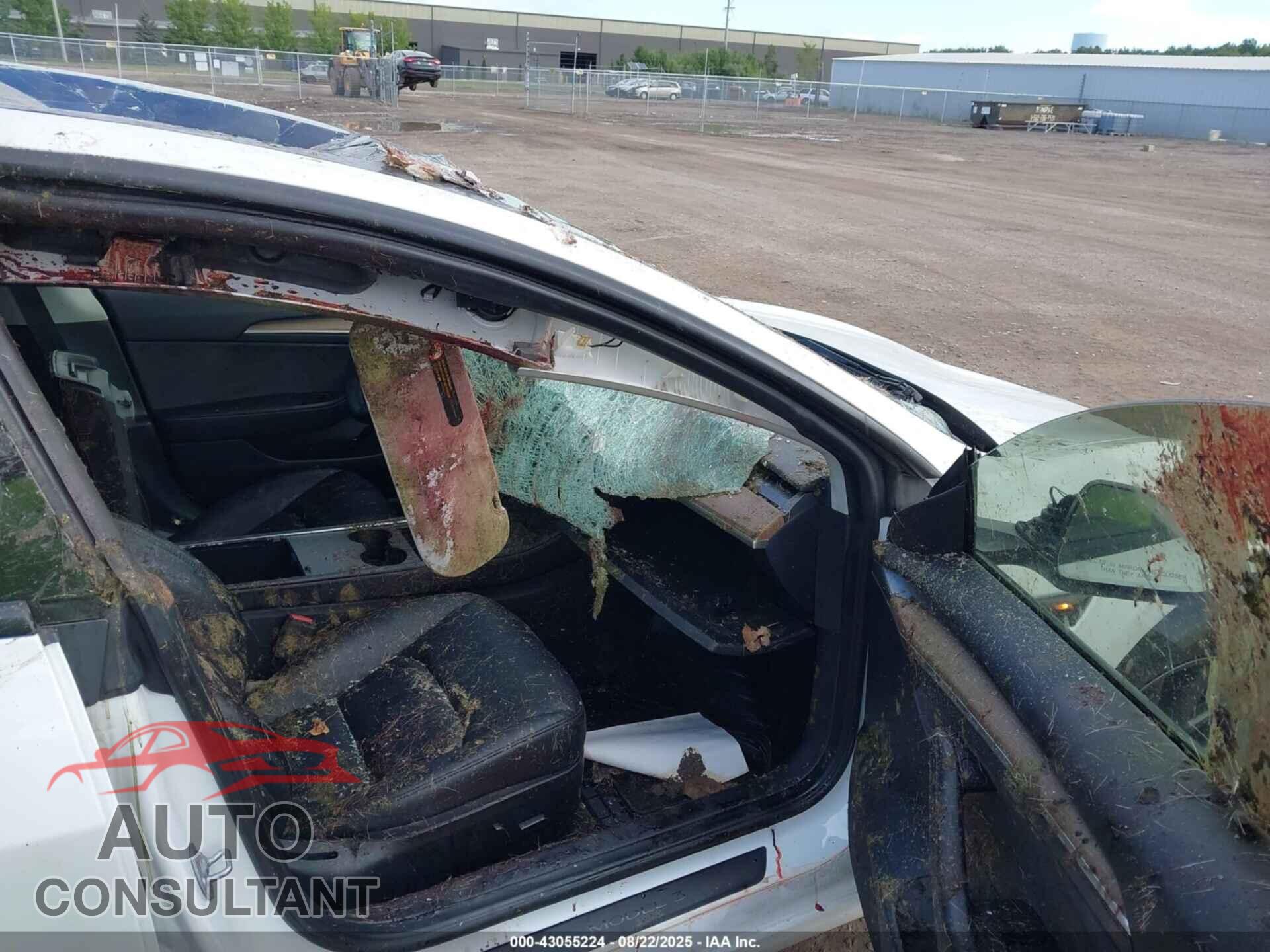 TESLA MODEL 3 2023 - 5YJ3E1EA4PF576675