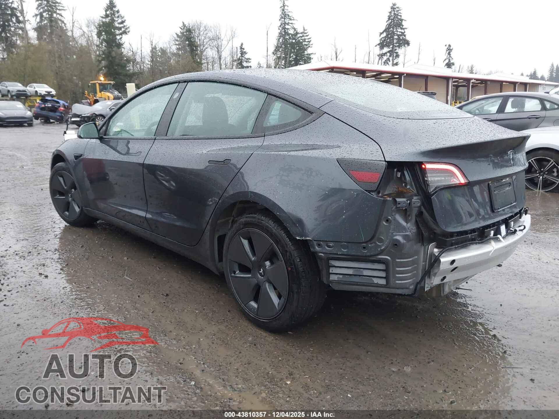 TESLA MODEL 3 2021 - 5YJ3E1EA5MF023481