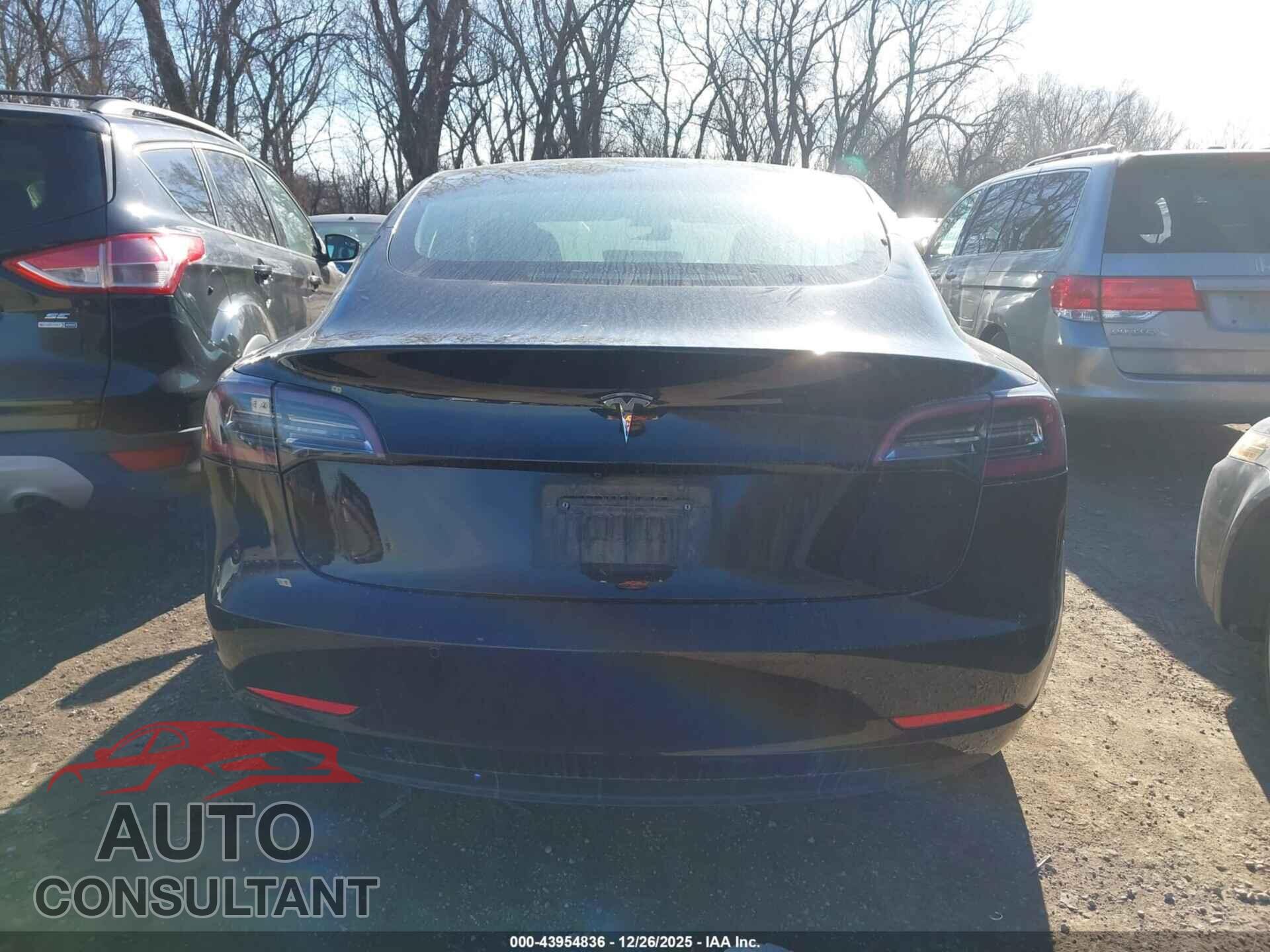 TESLA MODEL 3 2019 - 5YJ3E1EA8KF410779