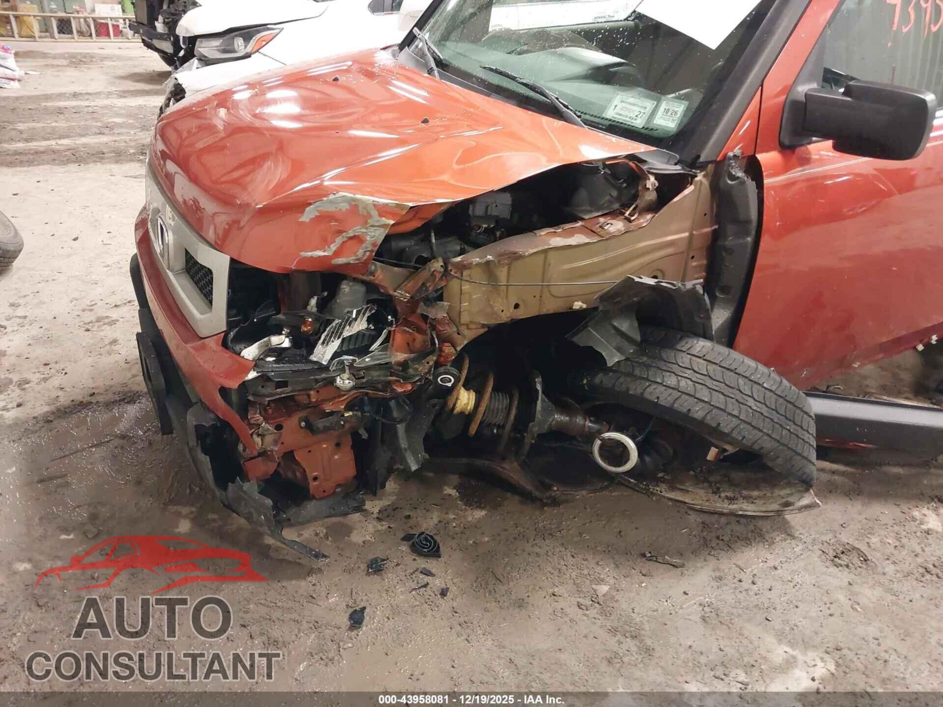 HONDA ELEMENT 2011 - 5J6YH2H75BL001312