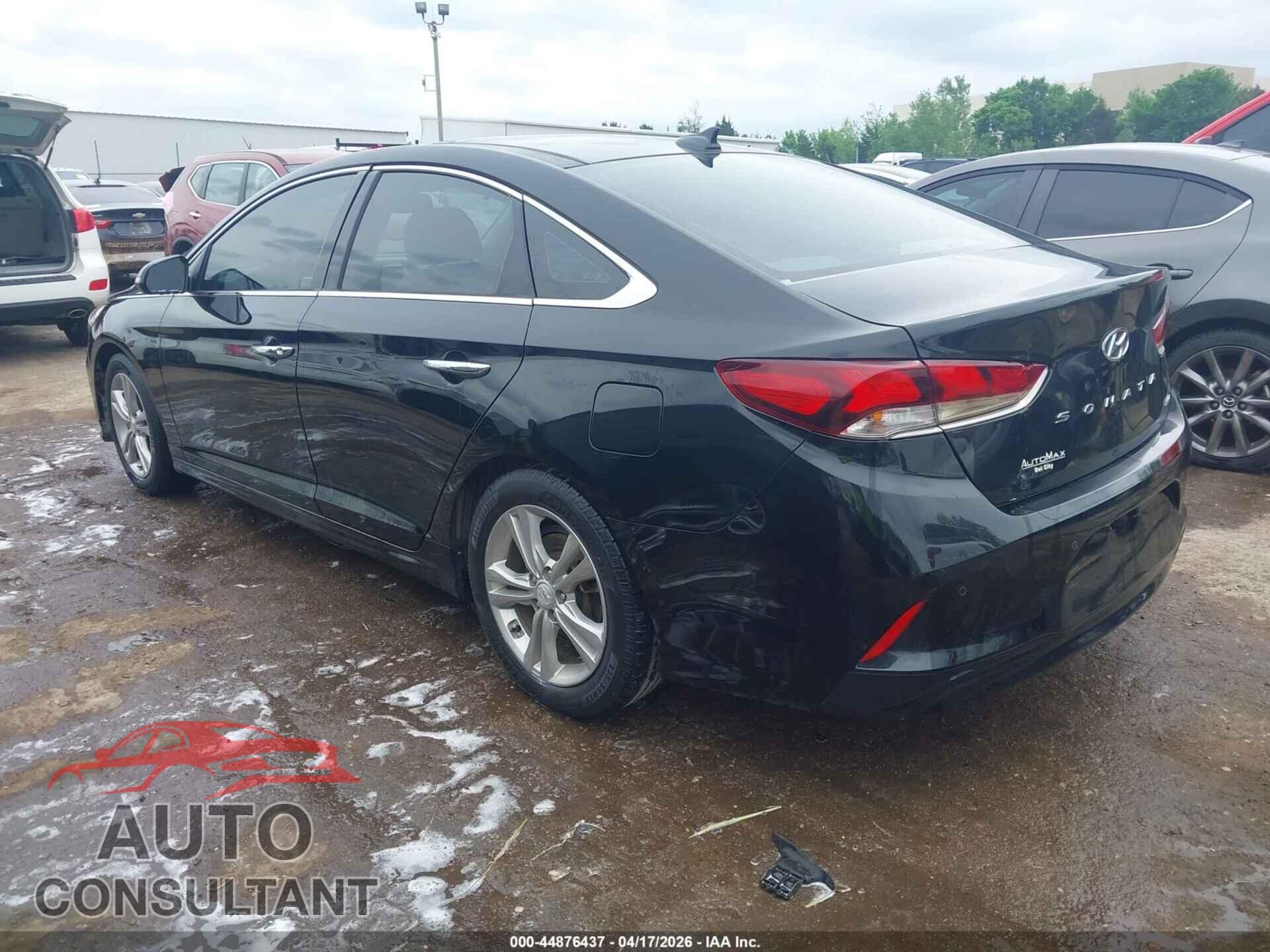 HYUNDAI SONATA 2019 - 5NPE34AF2KH771105