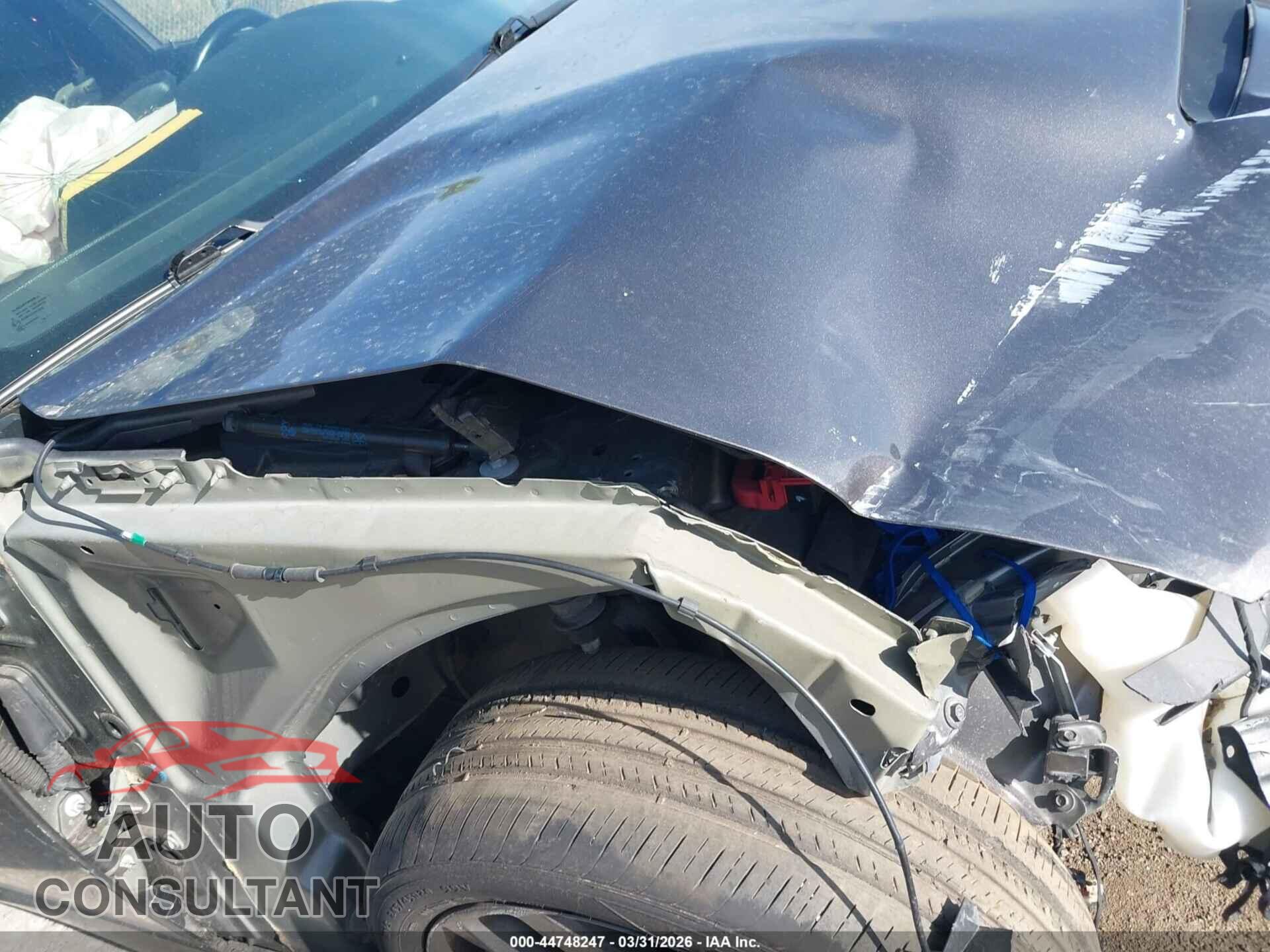 DODGE CHARGER 2019 - 2C3CDXHG5KH572079