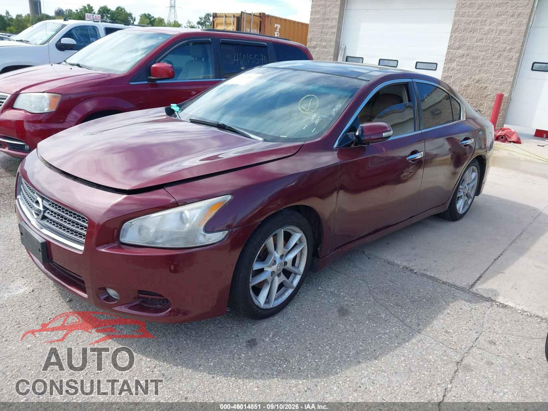 NISSAN MAXIMA 2011 - 1N4AA5AP6BC829236