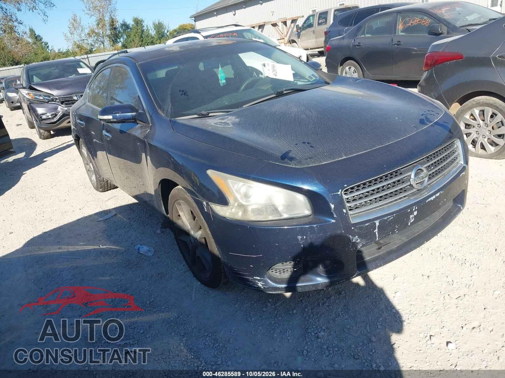 NISSAN MAXIMA 2010 - 1N4AA5AP0AC856463