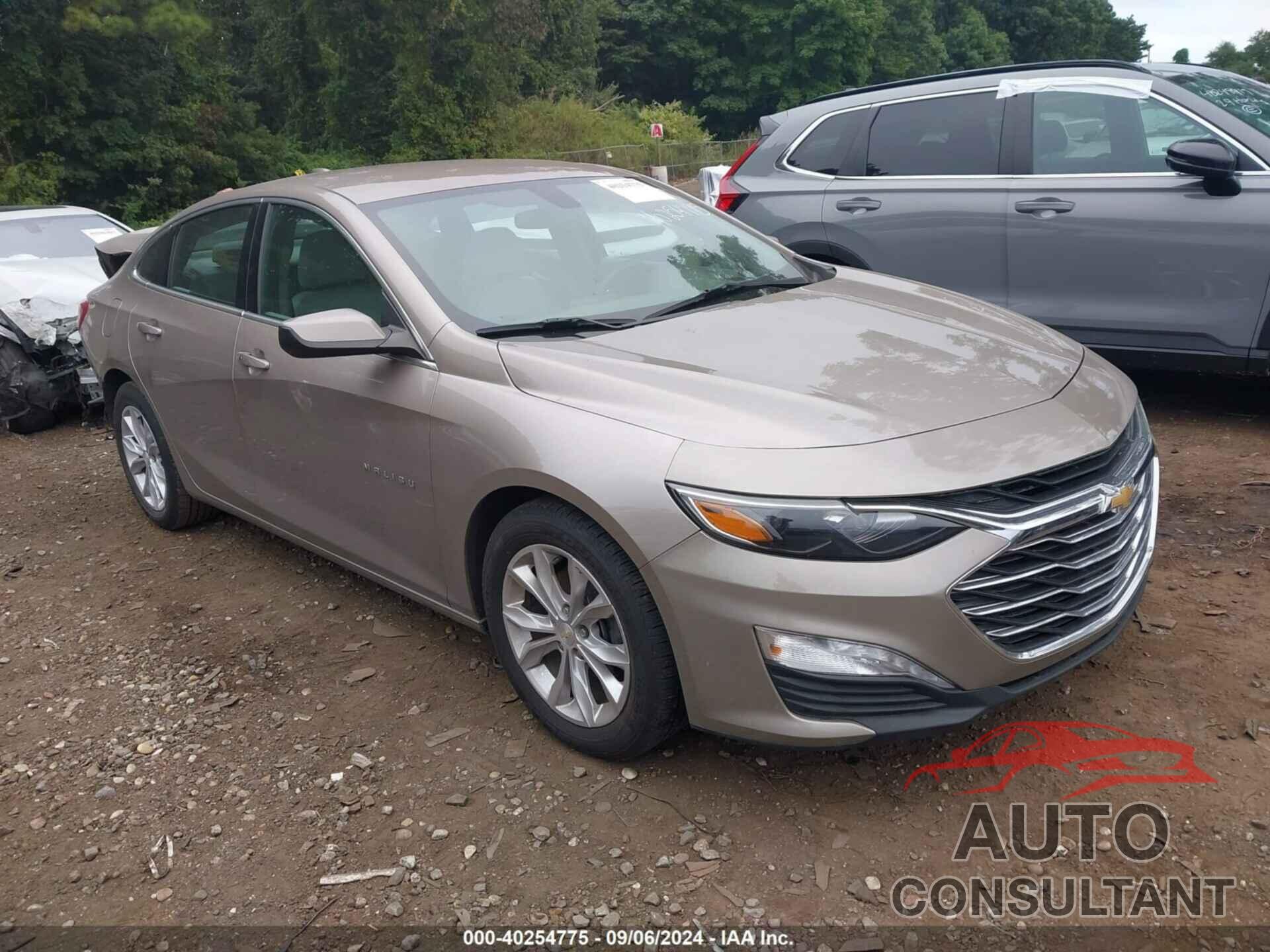 CHEVROLET MALIBU 2022 - 1G1ZD5ST0NF112214