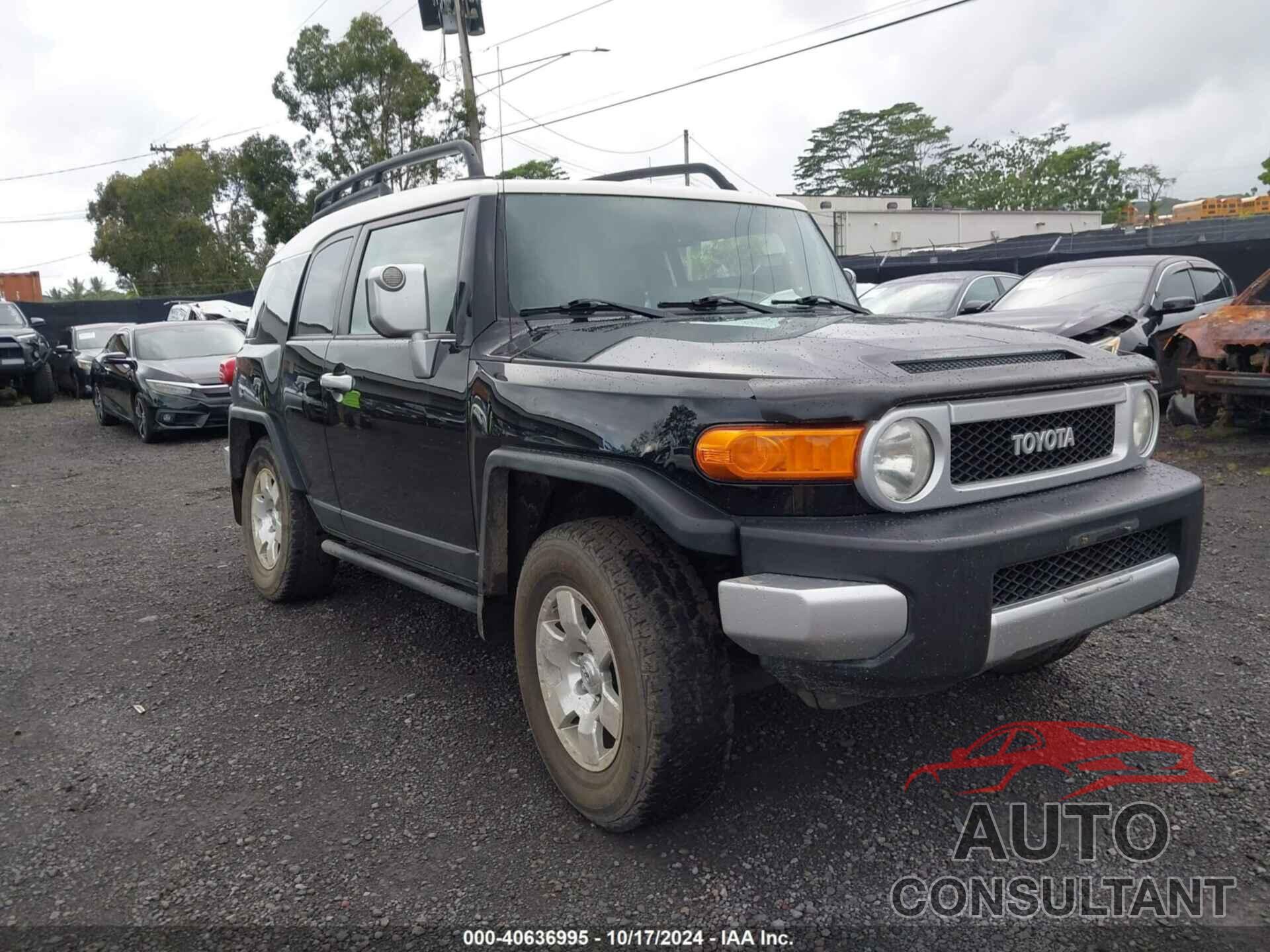 TOYOTA FJ CRUISER 2010 - JTEBU4BFXAK084805