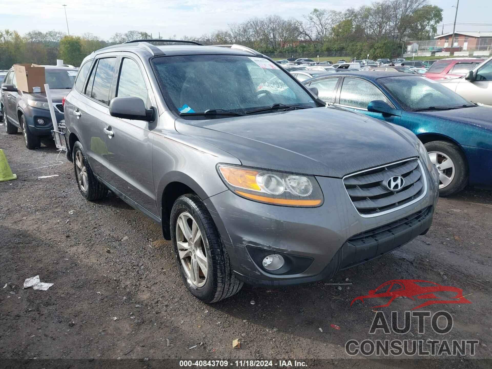 HYUNDAI SANTA FE 2010 - 5NMSH4AG2AH375104